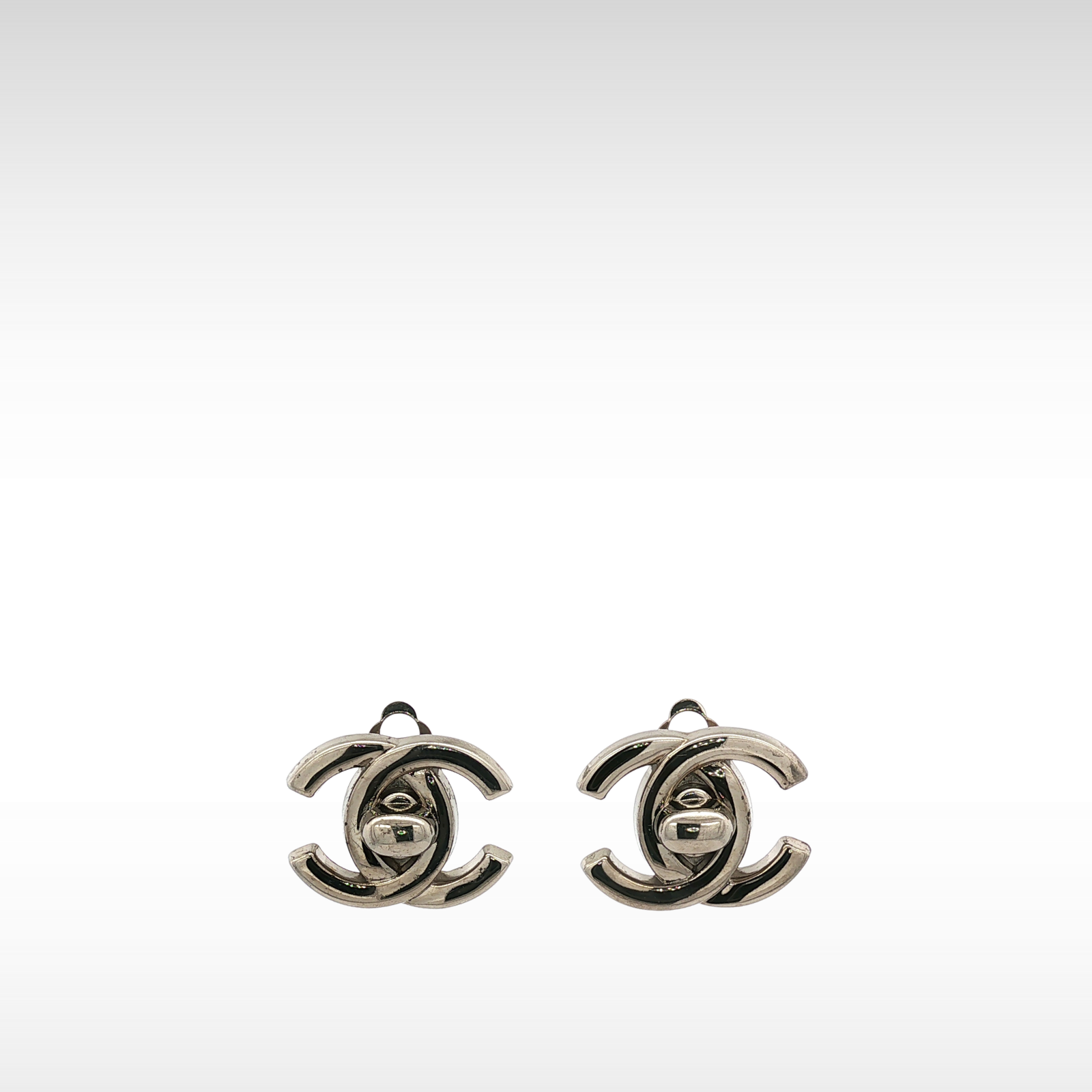 Metal Silver Earrings