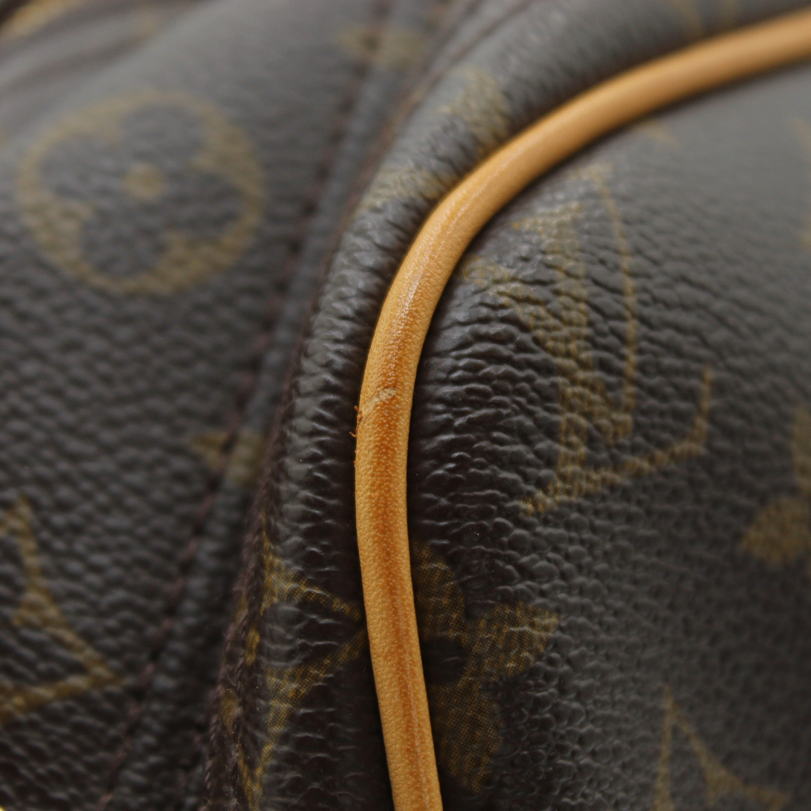 Reporter 28 Monogram Crossbody Bag