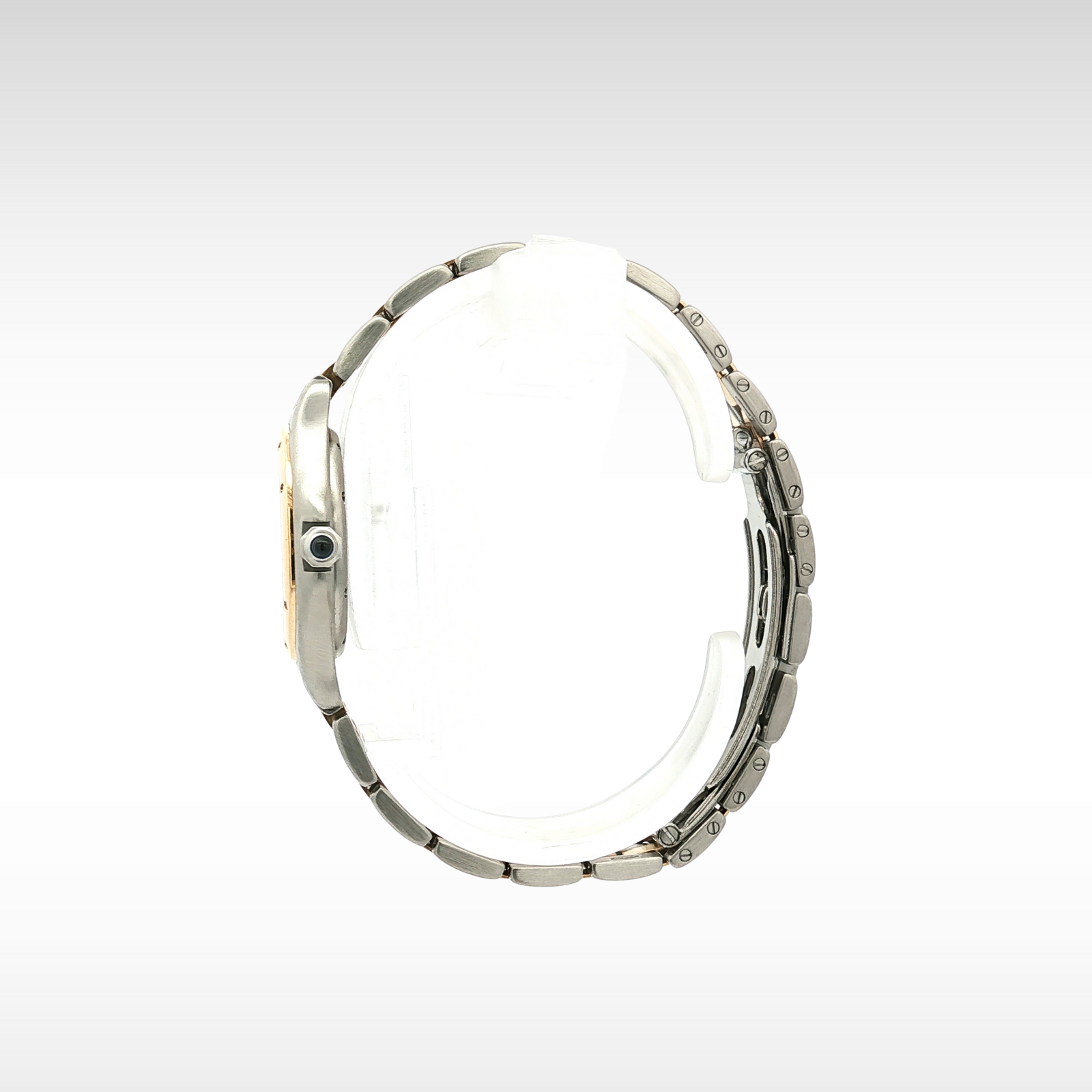 Panthere Cougar 2ROW SM W35005B6