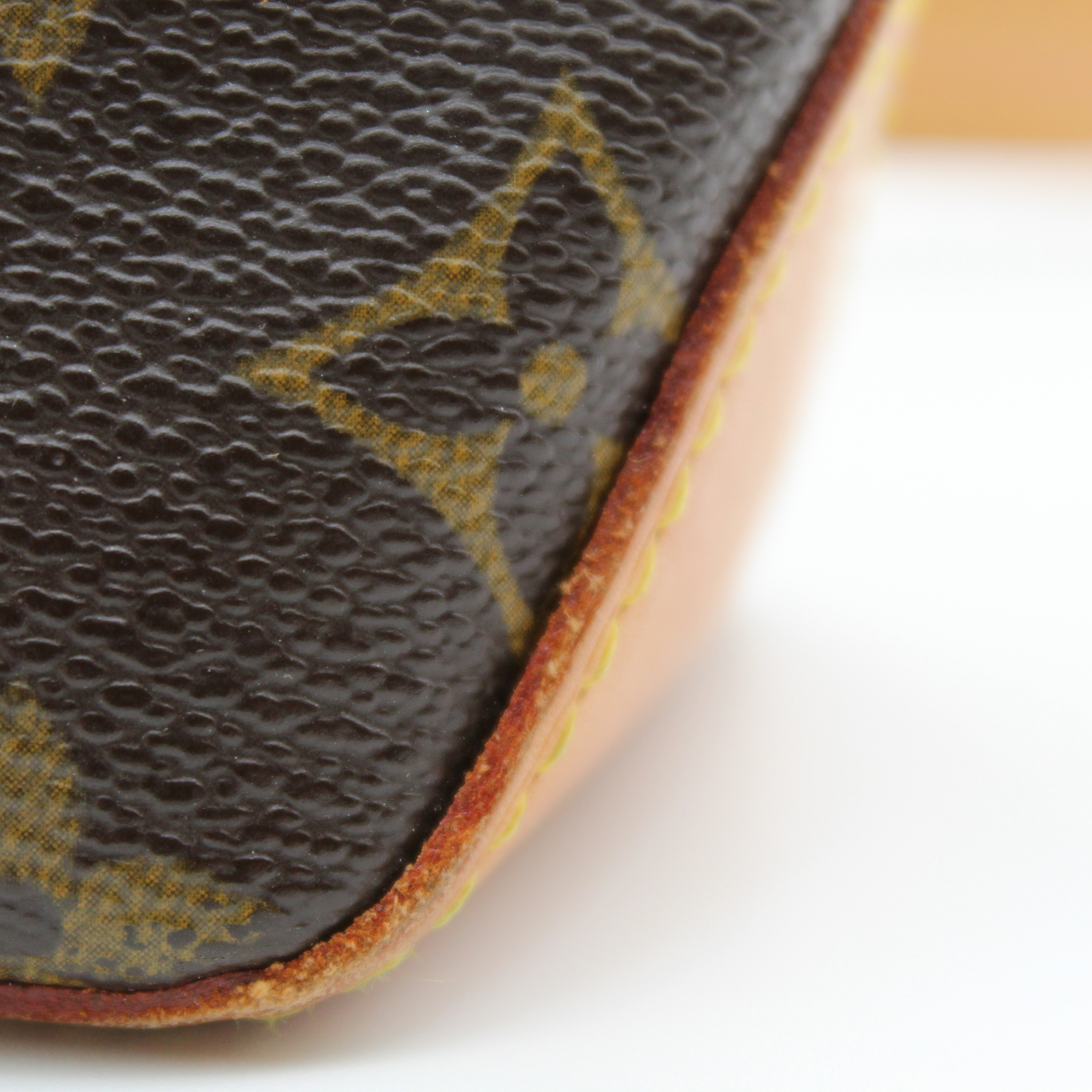 Trotteur Monogram Crossbody Bag