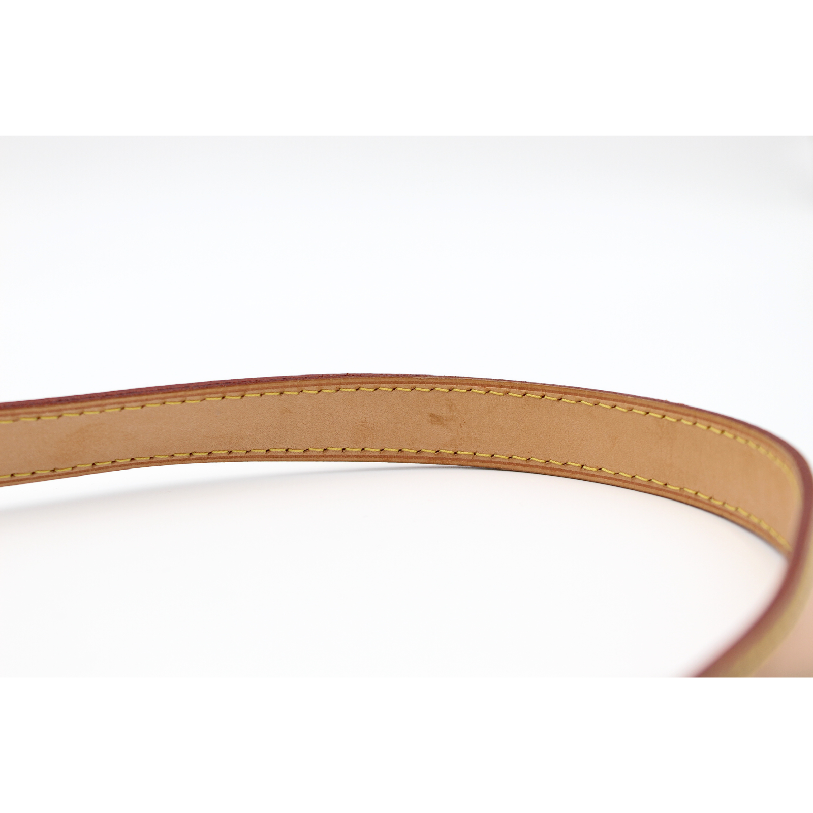 Odeon PM Monogram Crossbody Bag