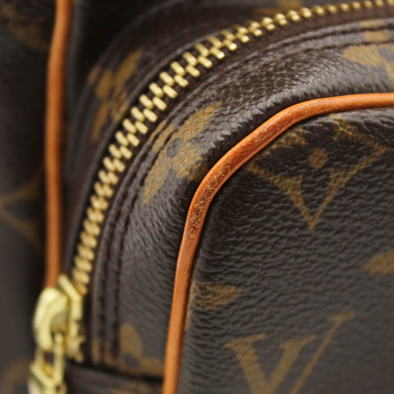 Nile Monogram Crossbody Bag