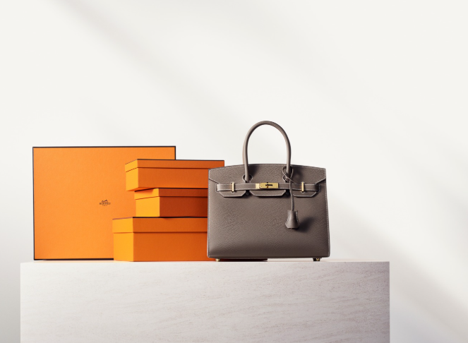 The Birkin Blueprint: Guide to Investing in the Ultimate Icon
