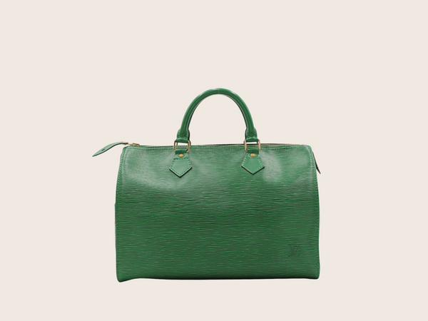 LOUIS VUITTON Speedy