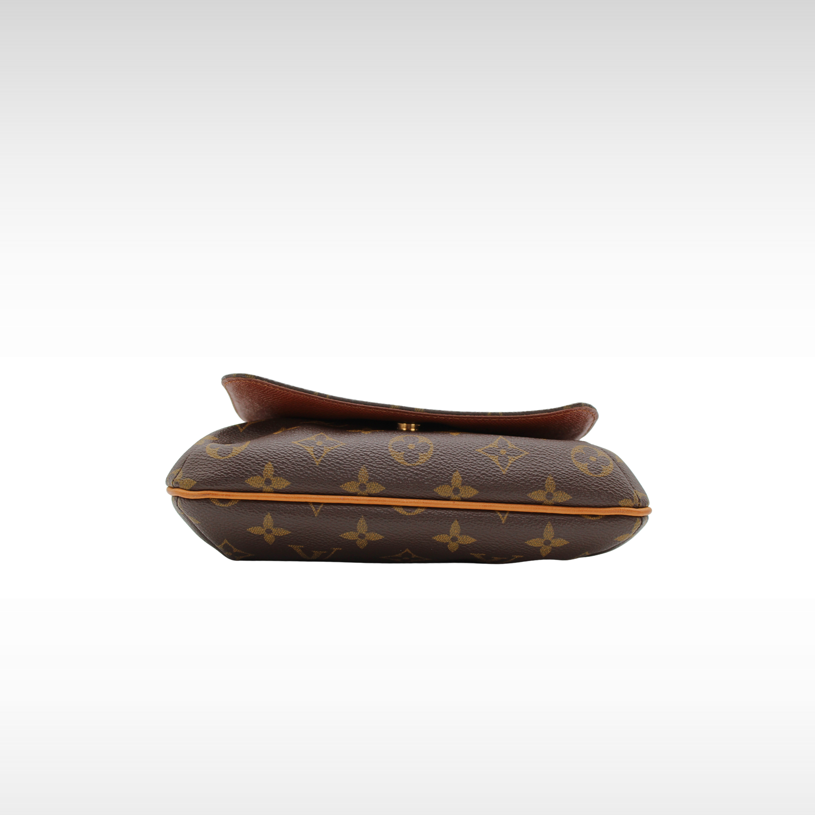 Musette Salsa Monogram Shoulder Bag