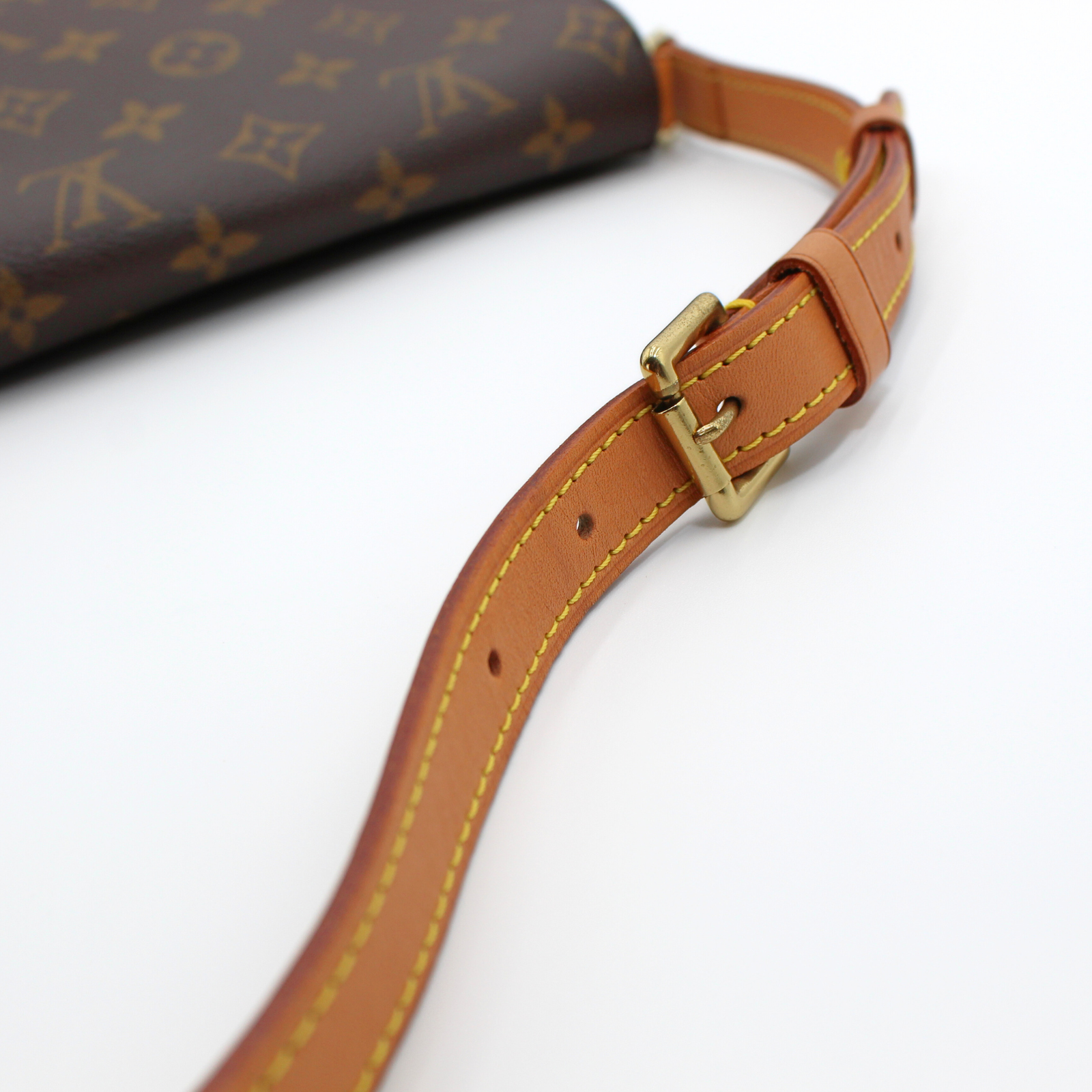 Musette Salsa Monogram Shoulder Bag