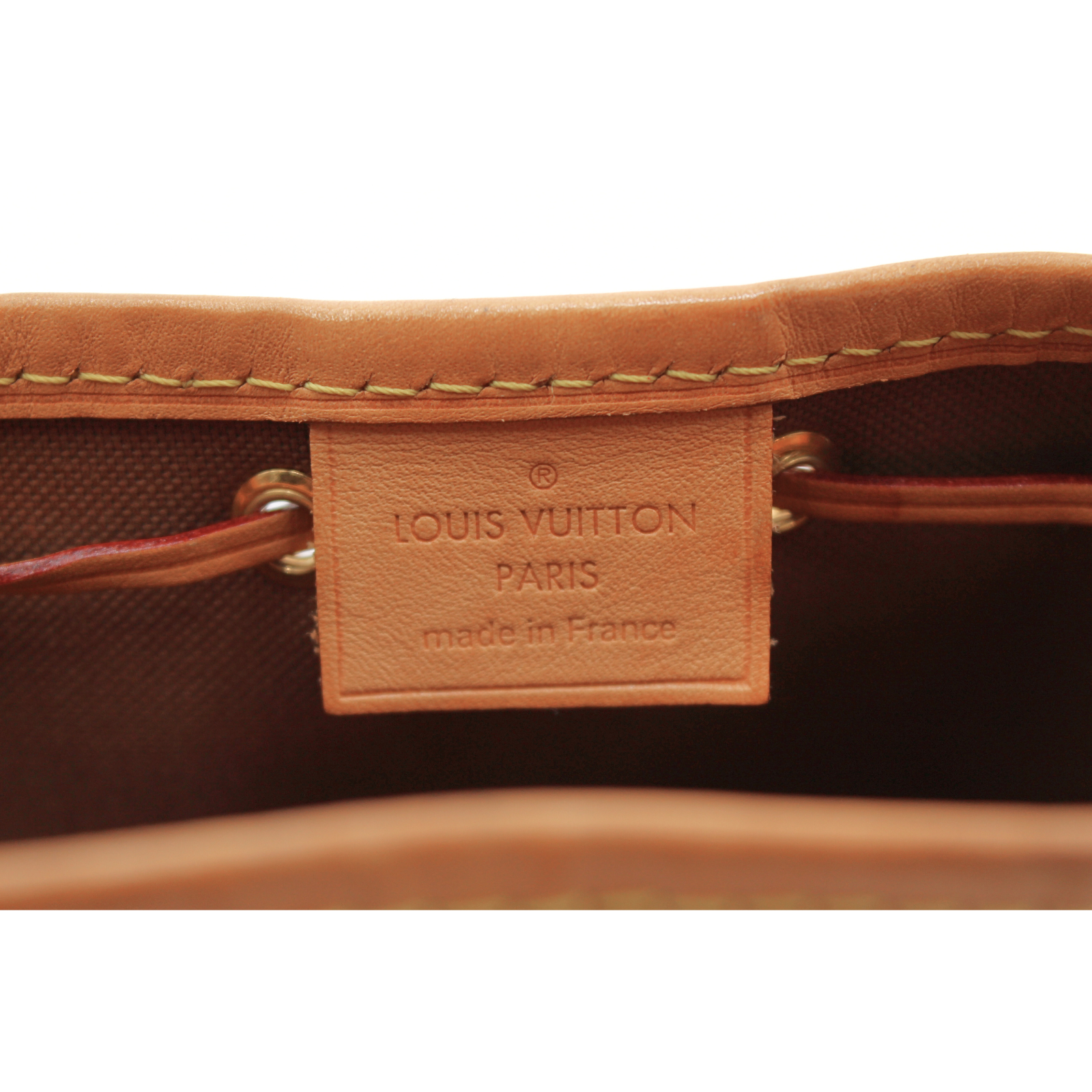 Noe Nano Monogram Crossbody Bag