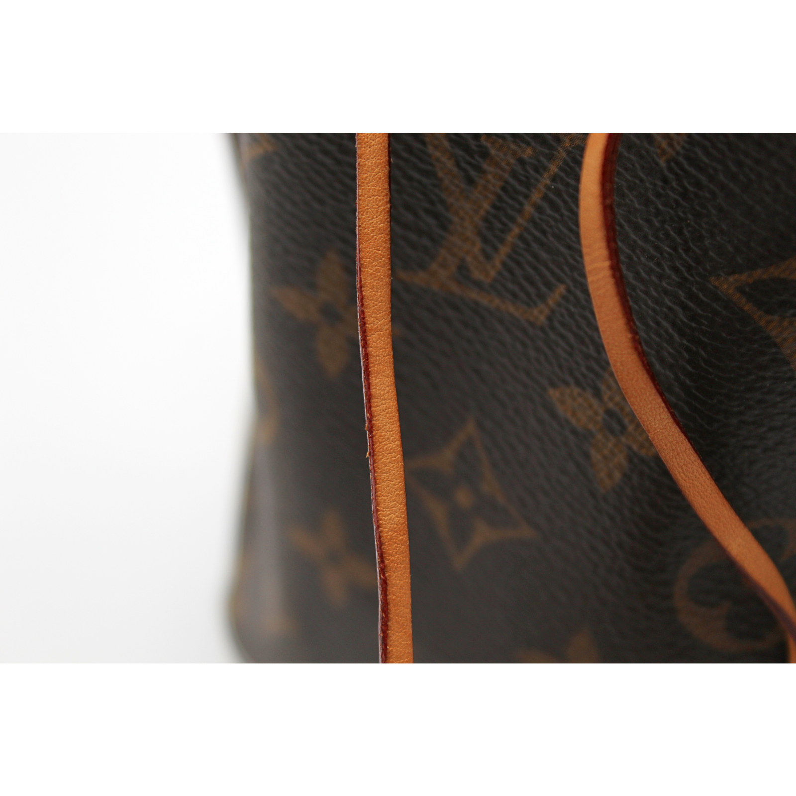 Noe Nano Monogram Crossbody Bag