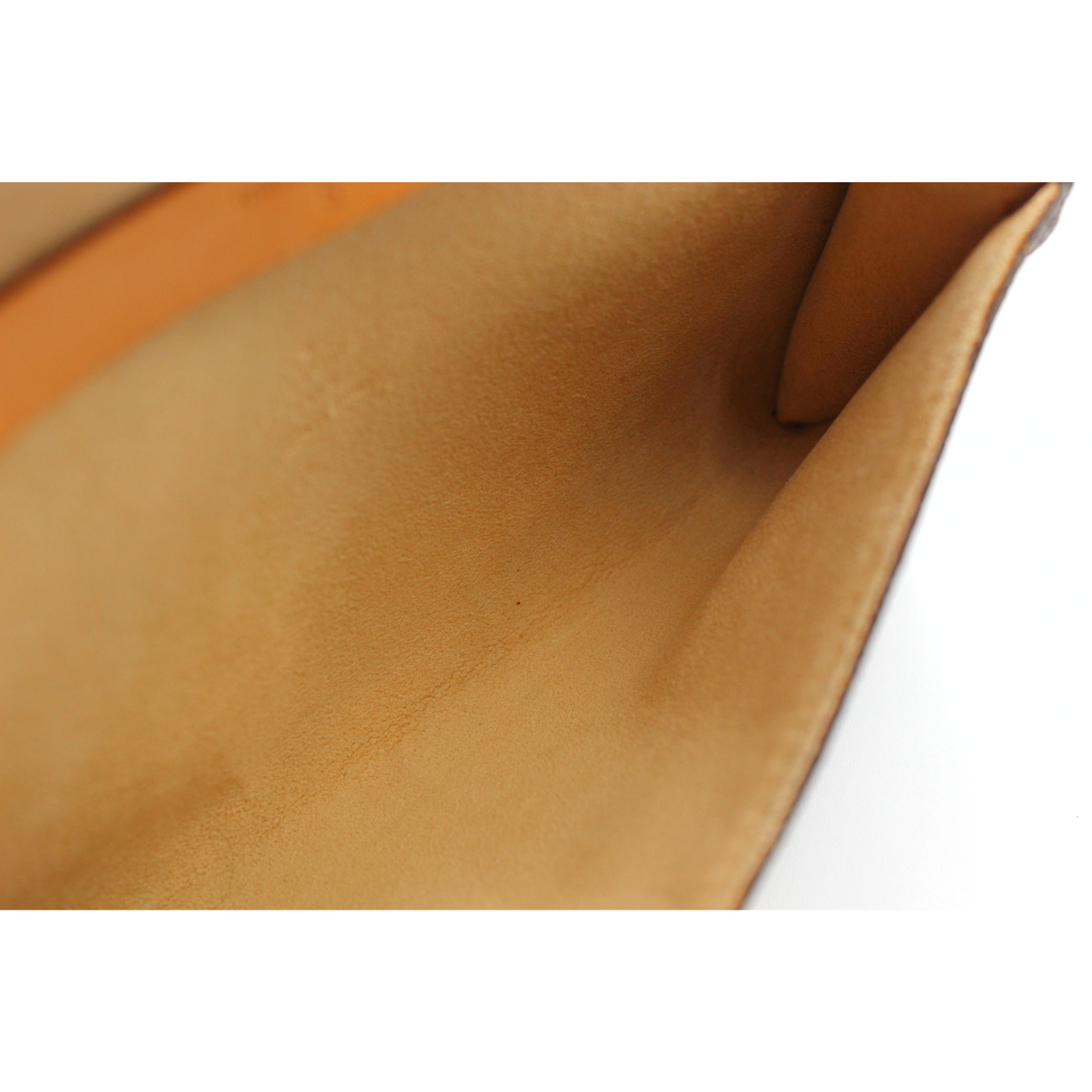 Pochette Twin PM Monogram Crossbody Bag