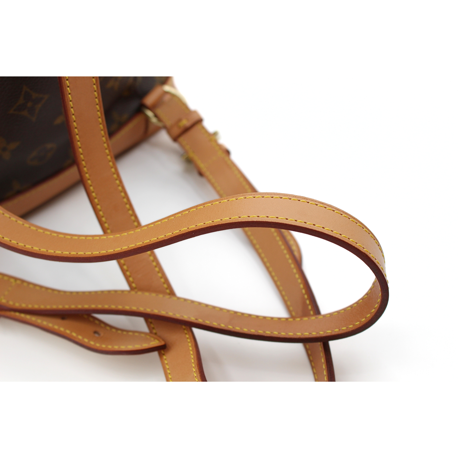 Montsouris MM Monogram Backpack