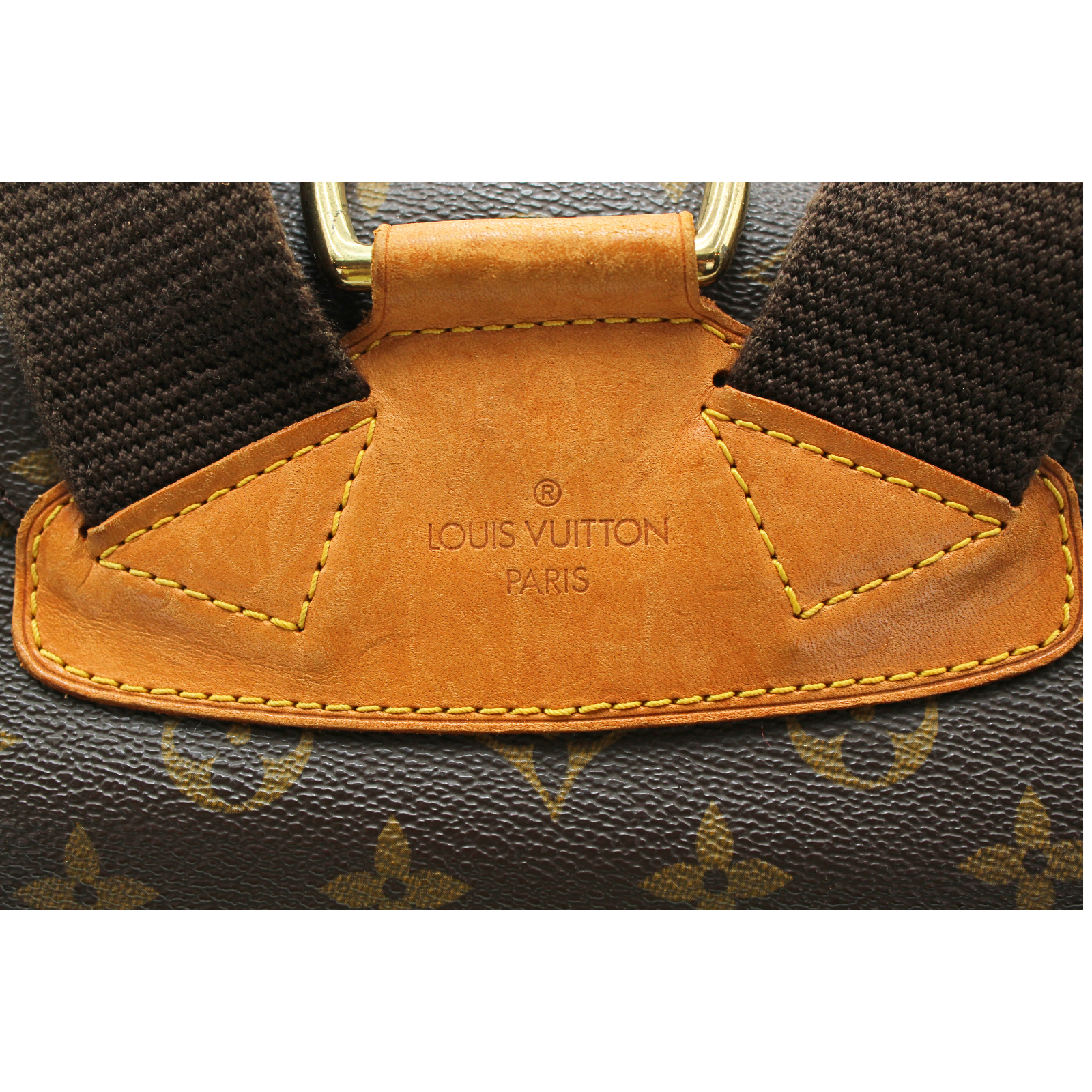 Montsouris GM Monogram Backpack