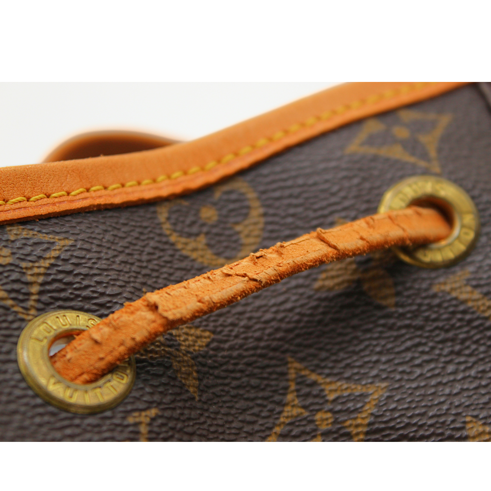 Montsouris GM Monogram Backpack