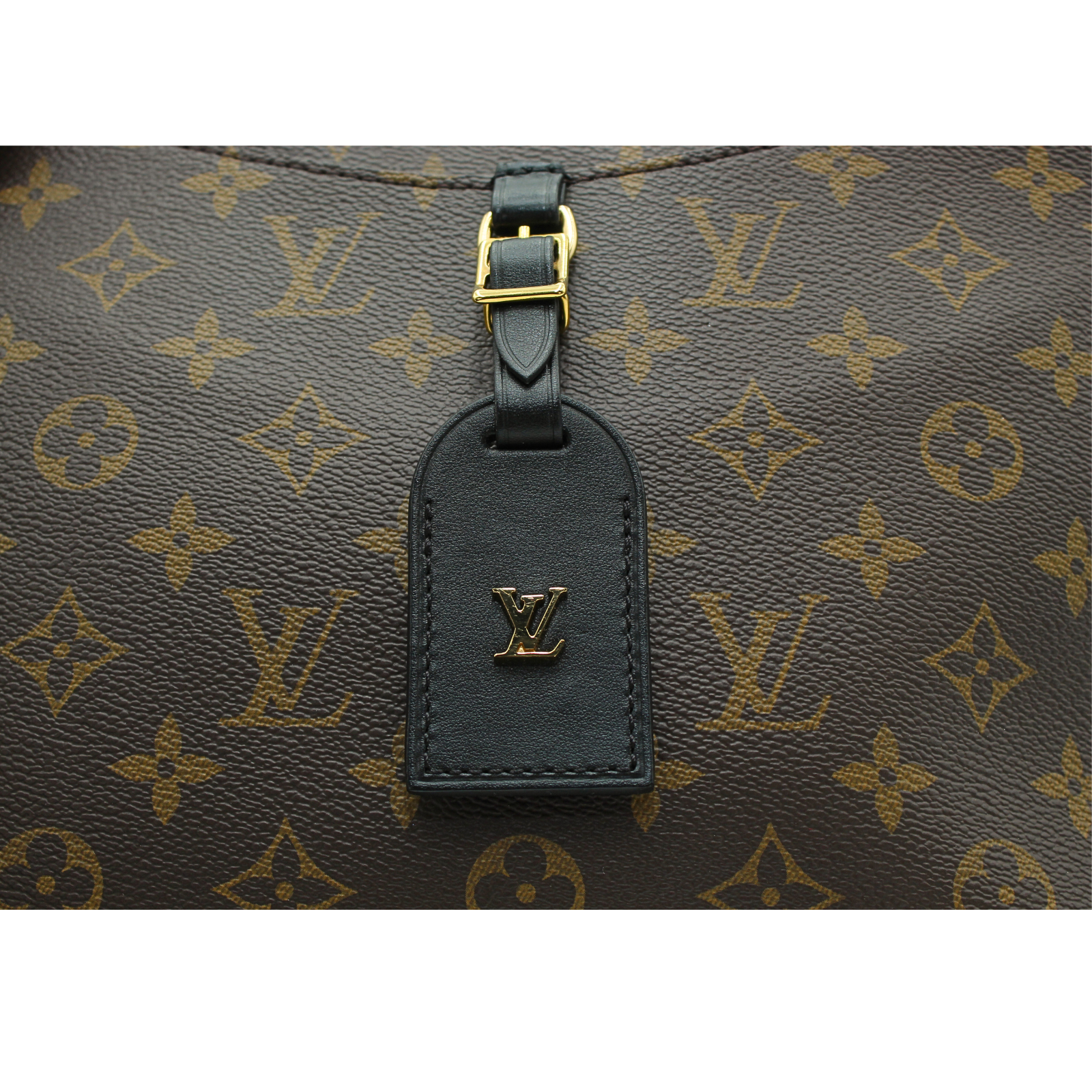Odeon MM Monogram Coated Canvas Marron Shoulder Bag