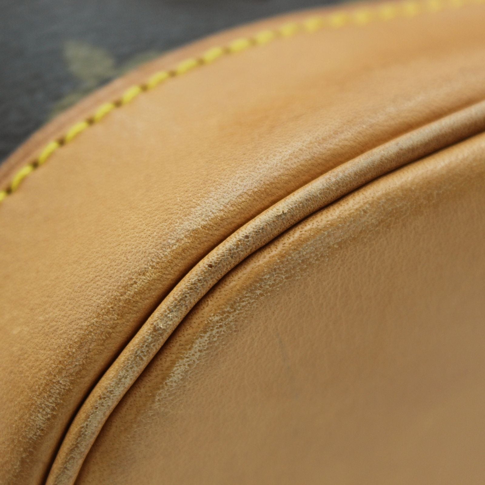 Montsouris MM Monogram Backpack