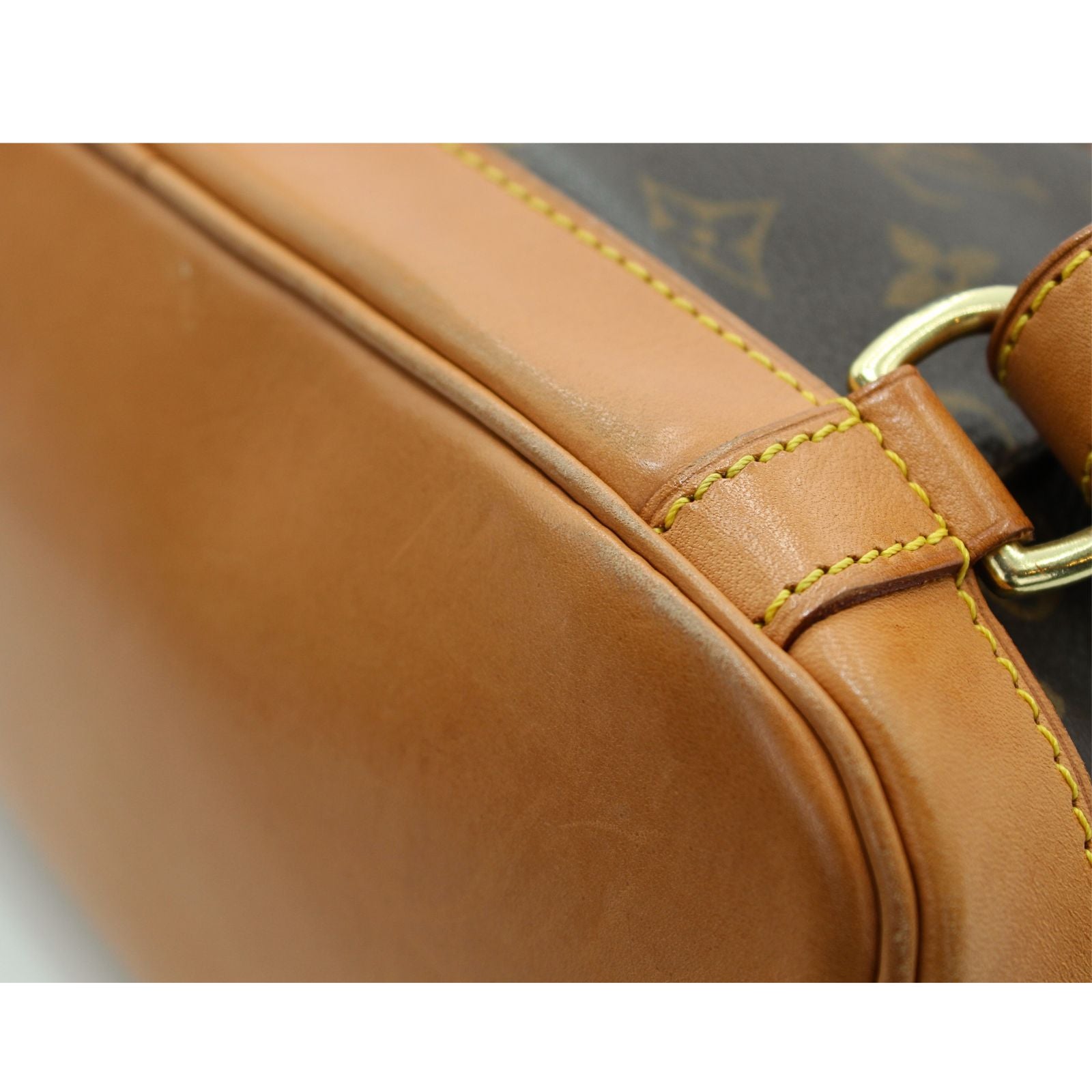 Montsouris MM Monogram Backpack