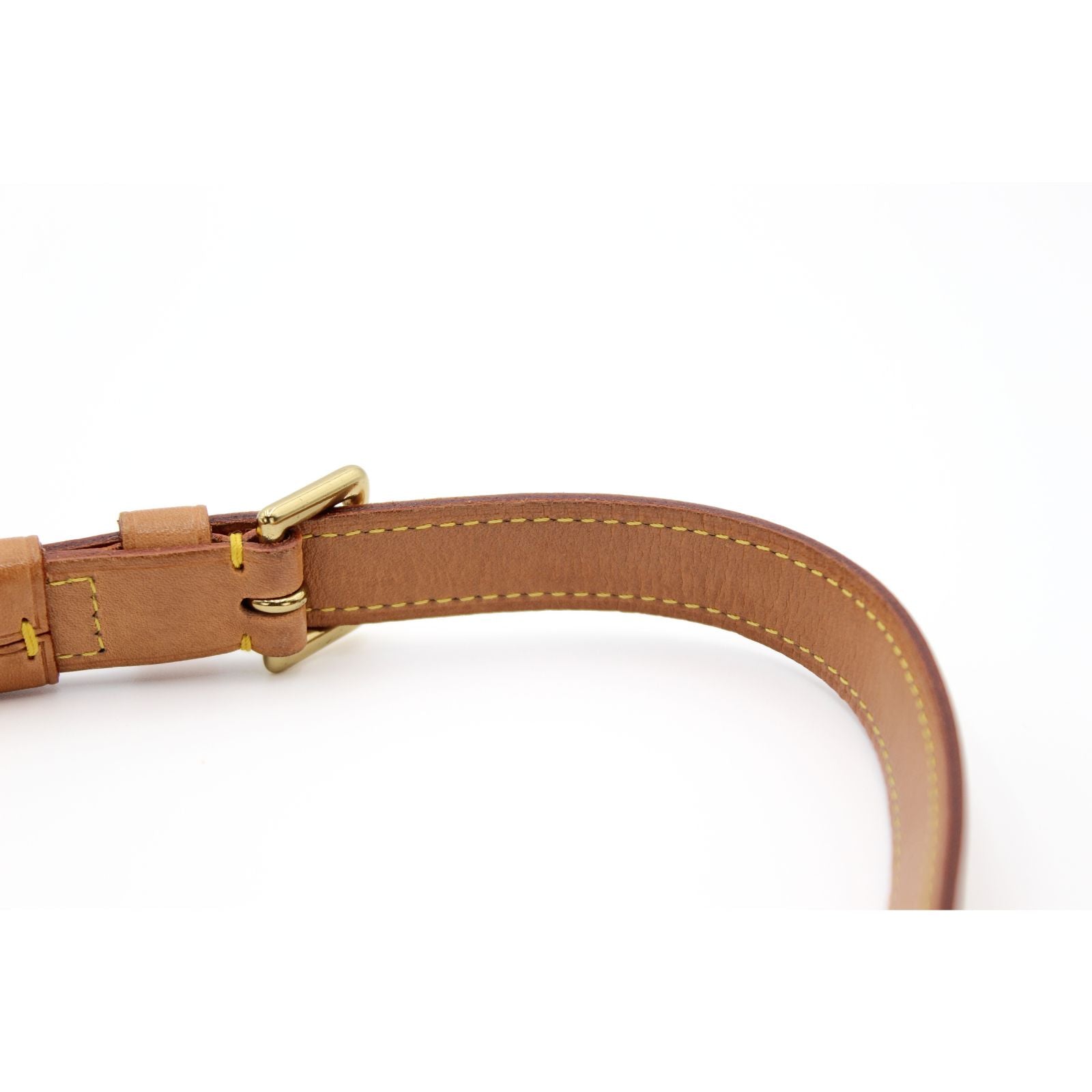 Musette Salsa Monogram Shoulder Bag