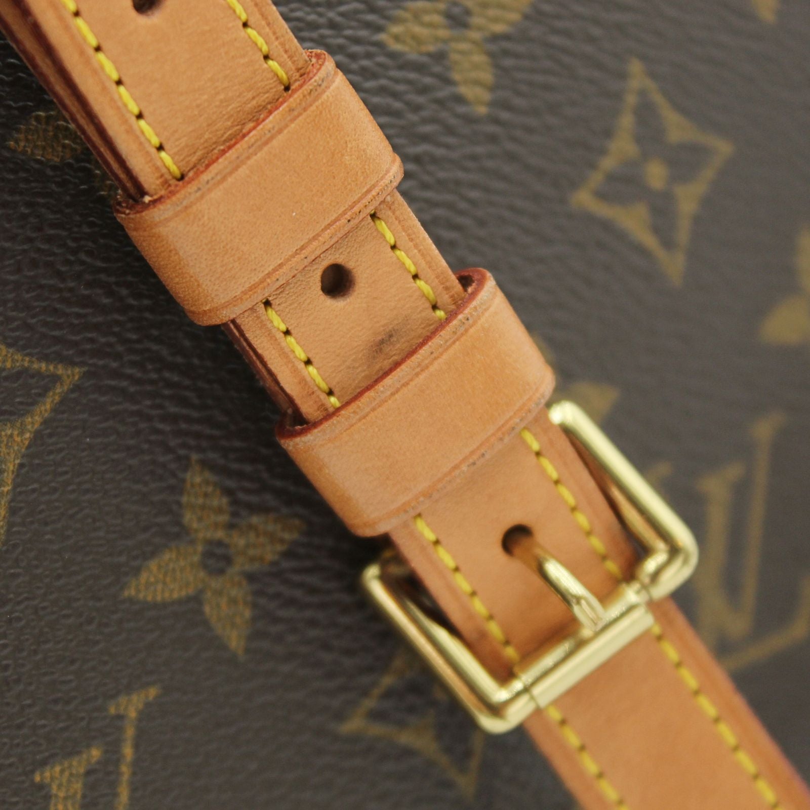 Musette Salsa Monogram Shoulder Bag