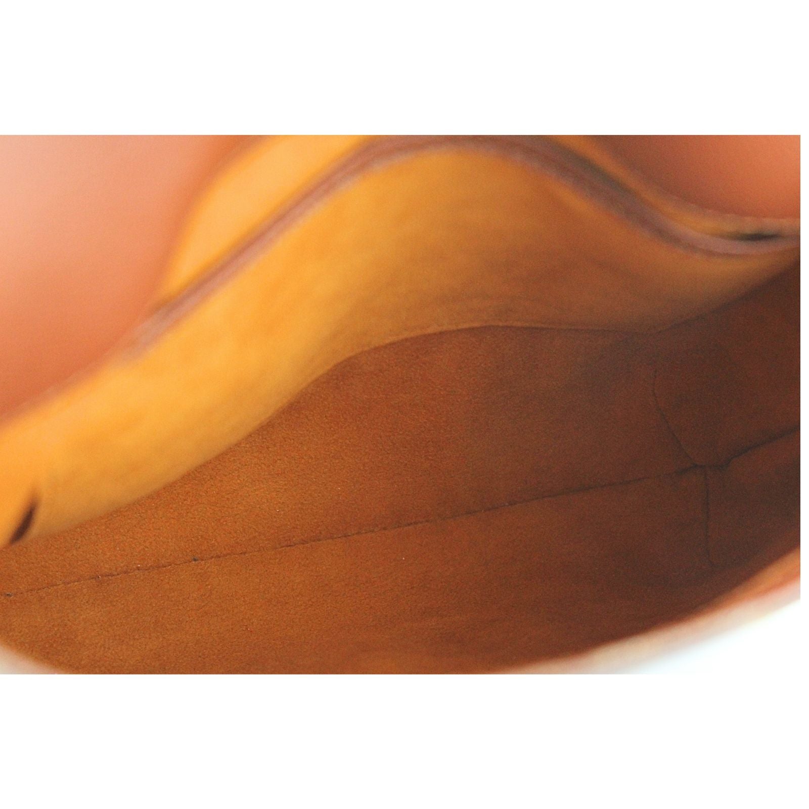 Musette Salsa Monogram Shoulder Bag
