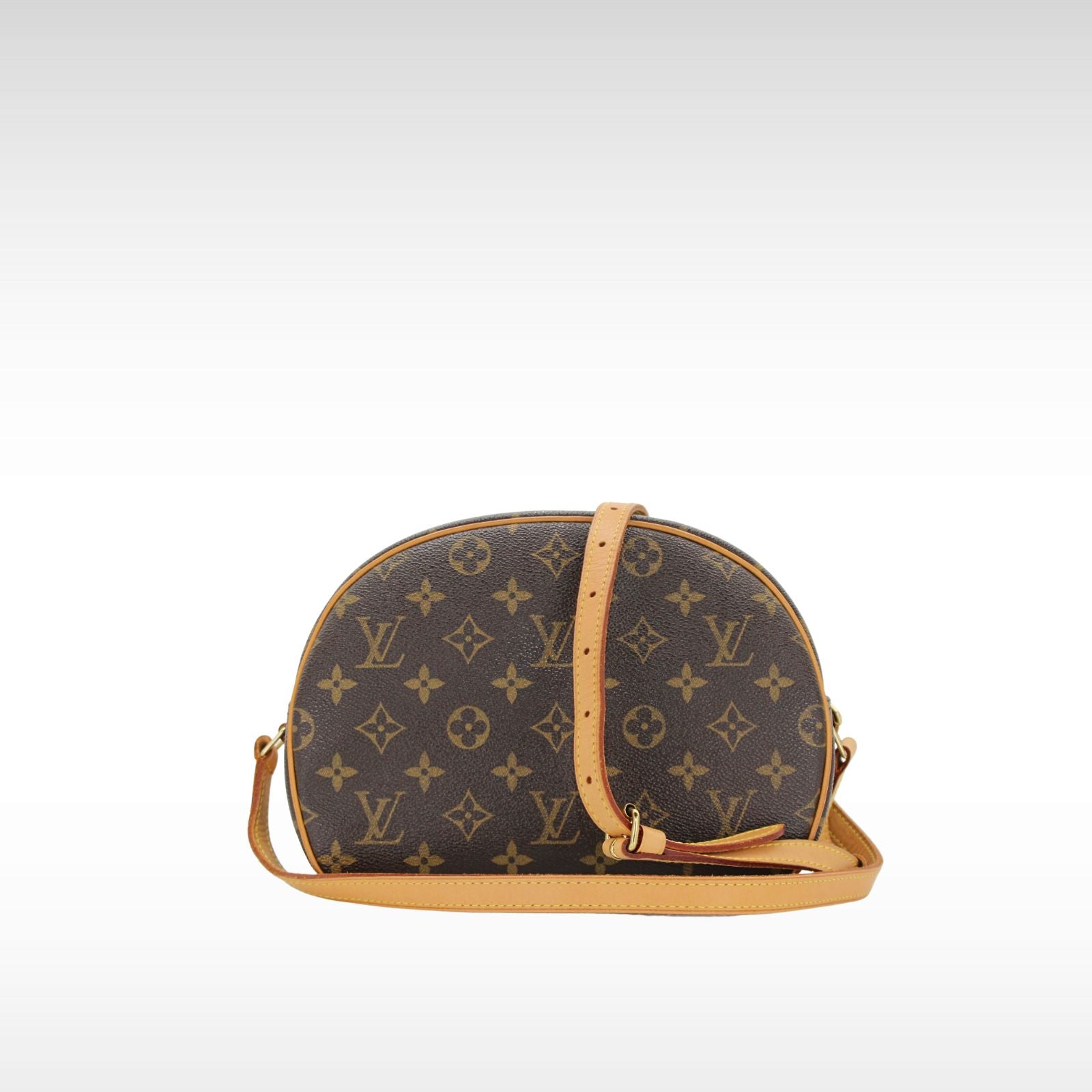 Blois Monogram Coated Canvas marron Crossbody Bag