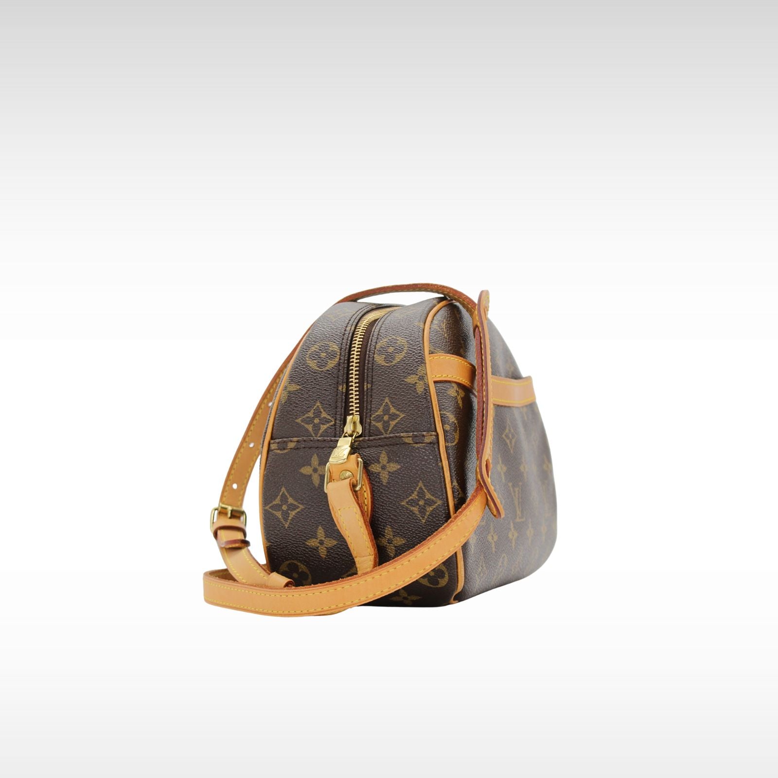 Blois Monogram Coated Canvas marron Crossbody Bag