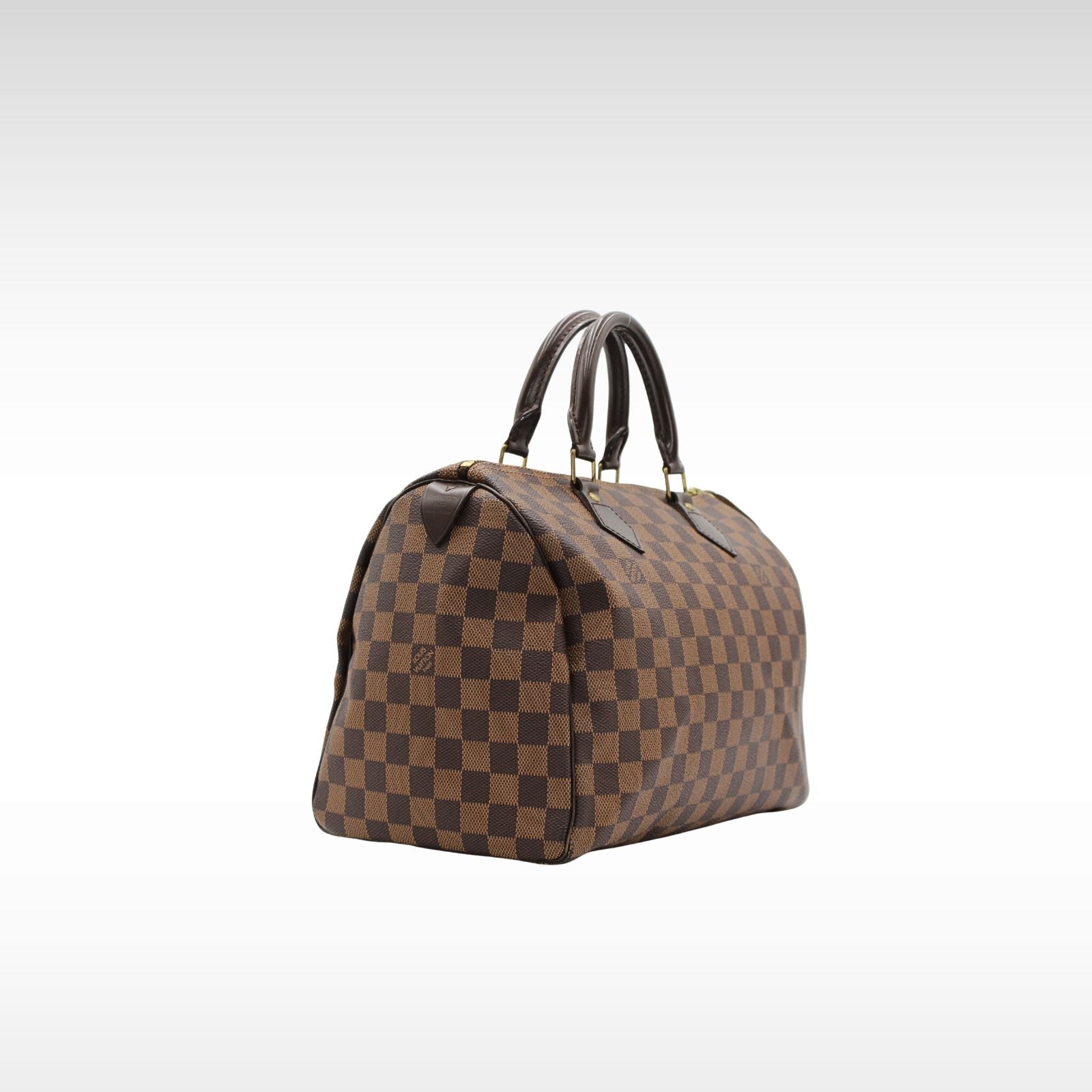 Speedy 30 Damier Handbag