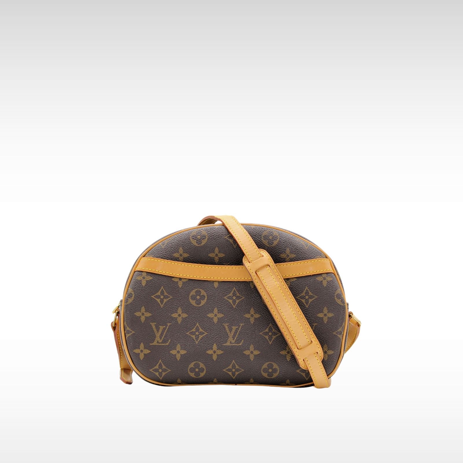 Blois Monogram Crossbody Bag