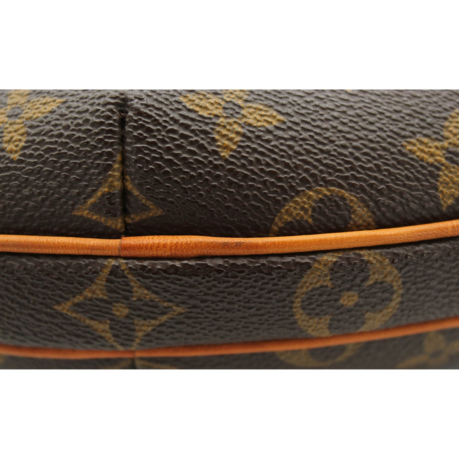 Pochette Croissant Monogram Shoulder Bag