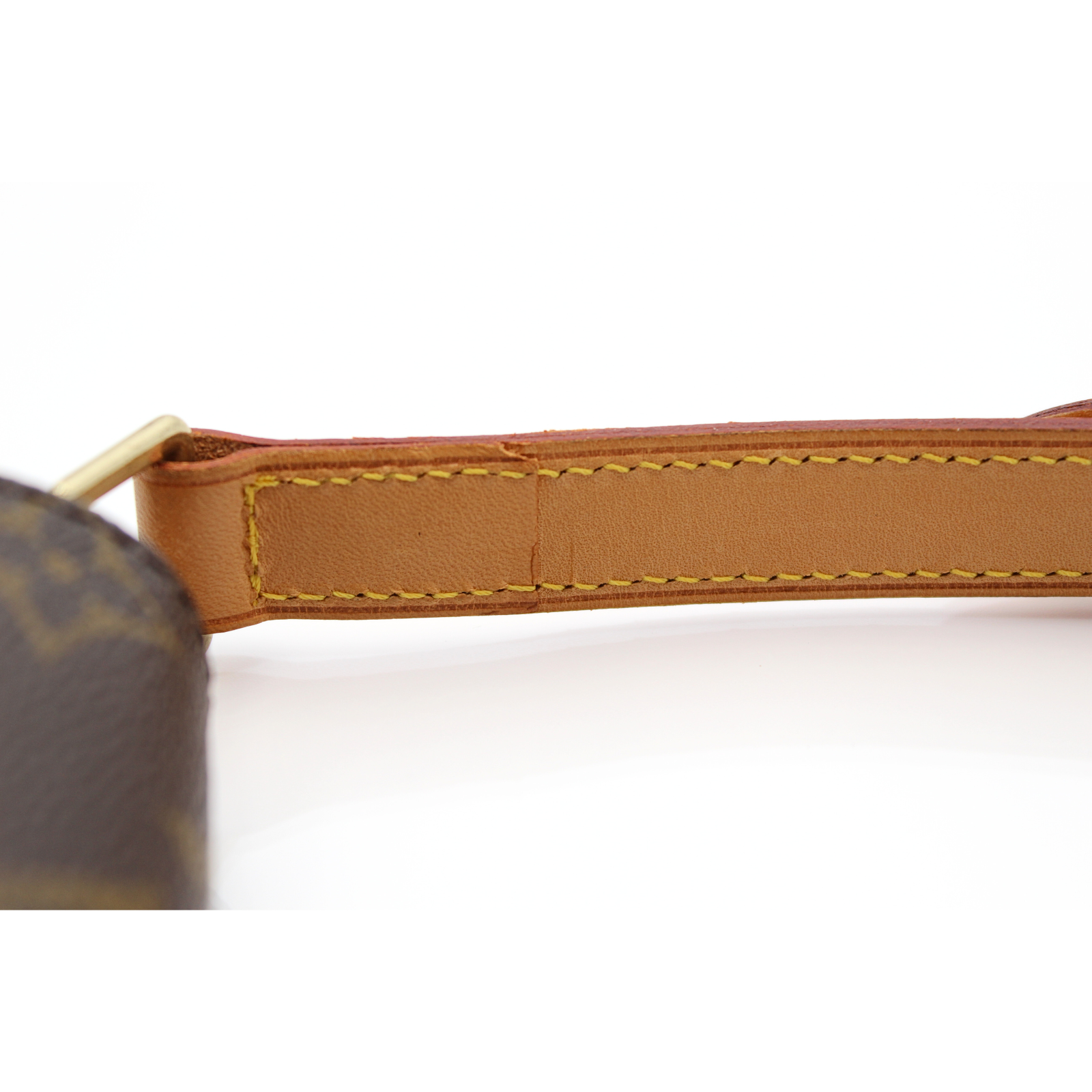 Musette Salsa Monogram Shoulder Bag