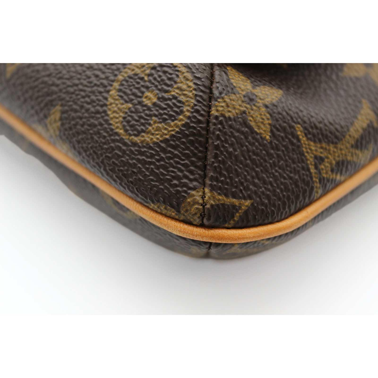 Musette Salsa Monogram Shoulder Bag