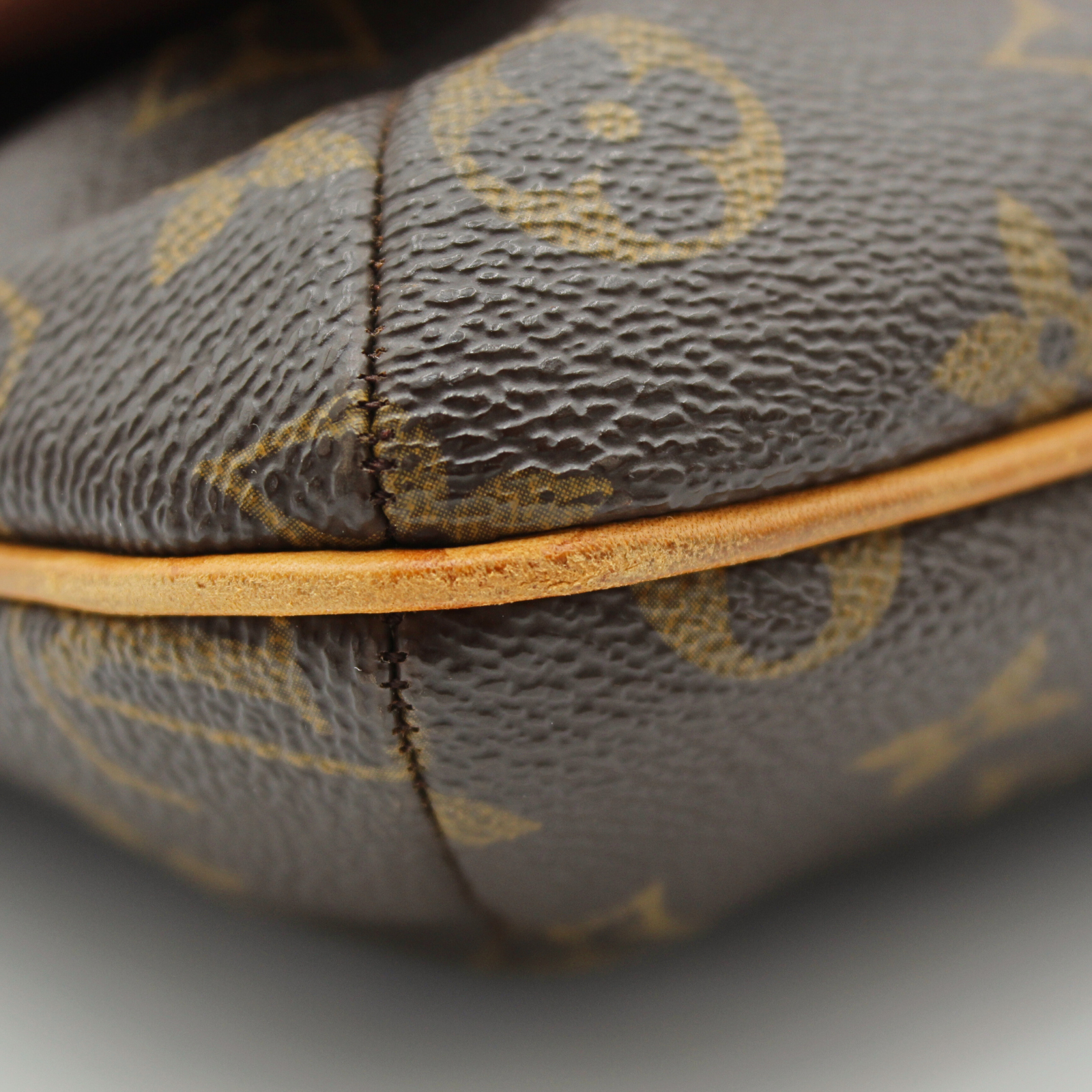 Musette Salsa Monogram Shoulder Bag