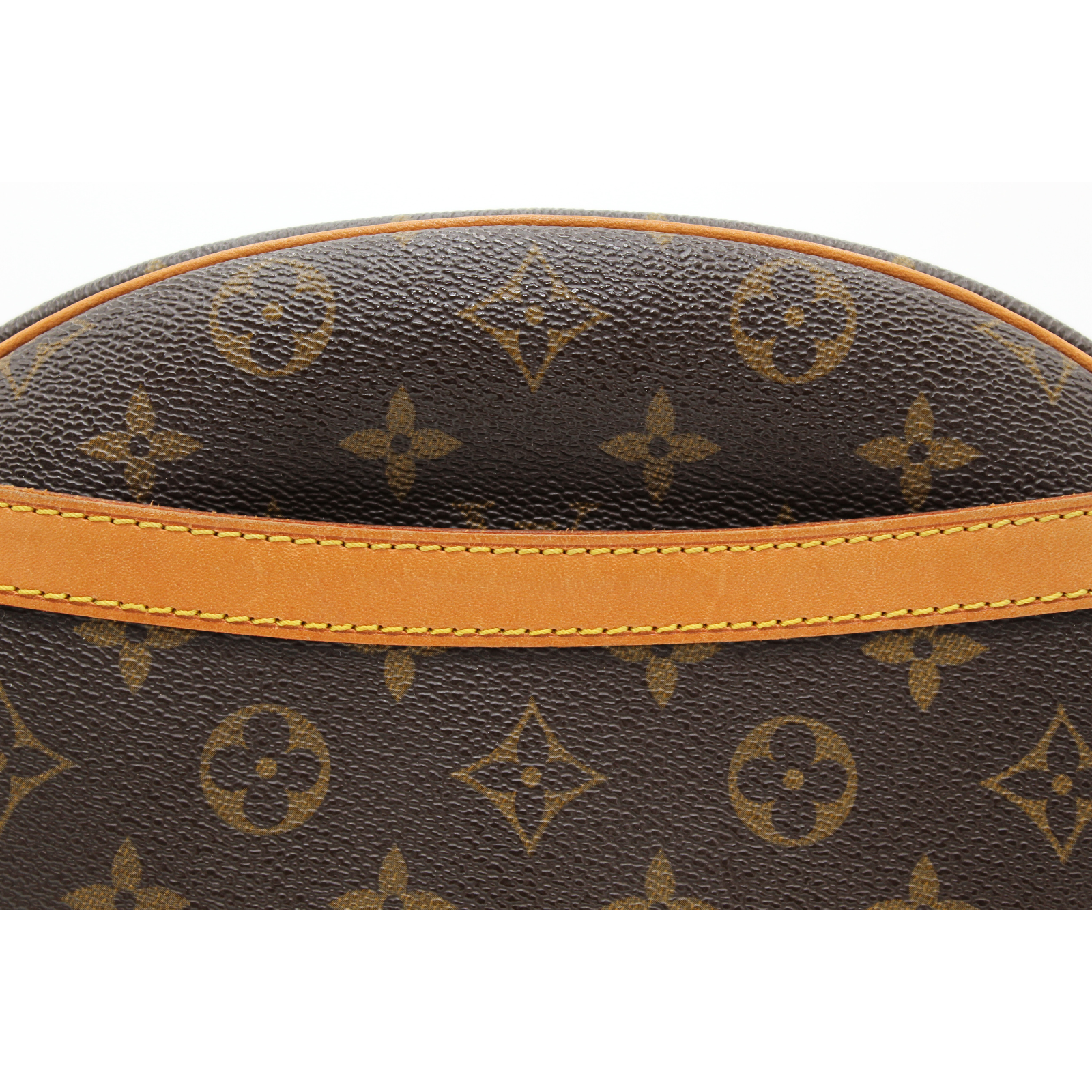 Blois Monogram Crossbody Bag