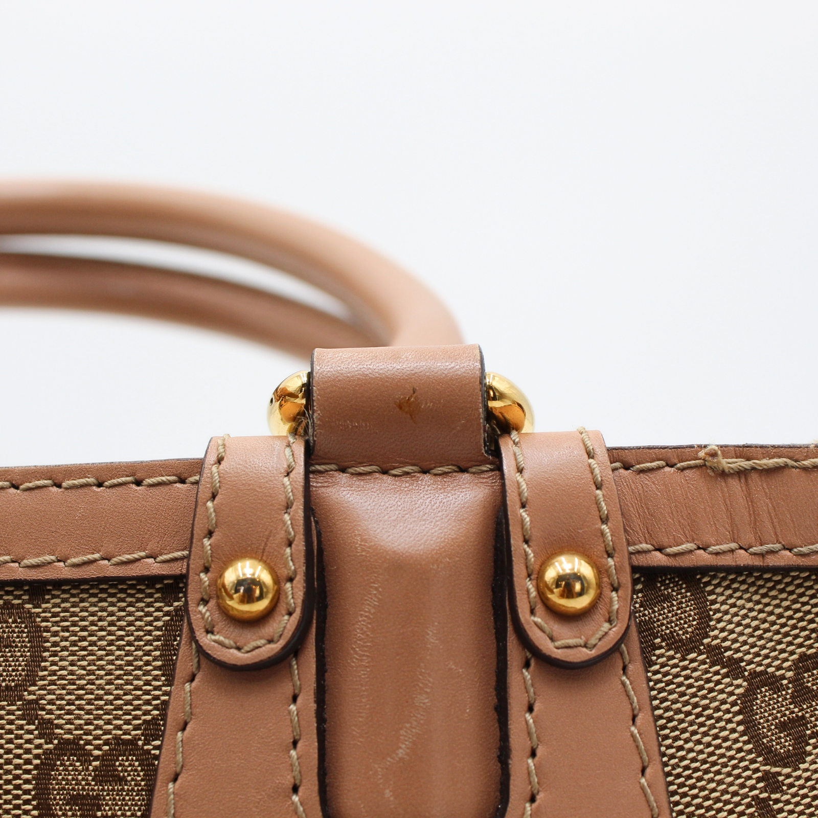 GG-Canvas Canvas Brown Hand Bag