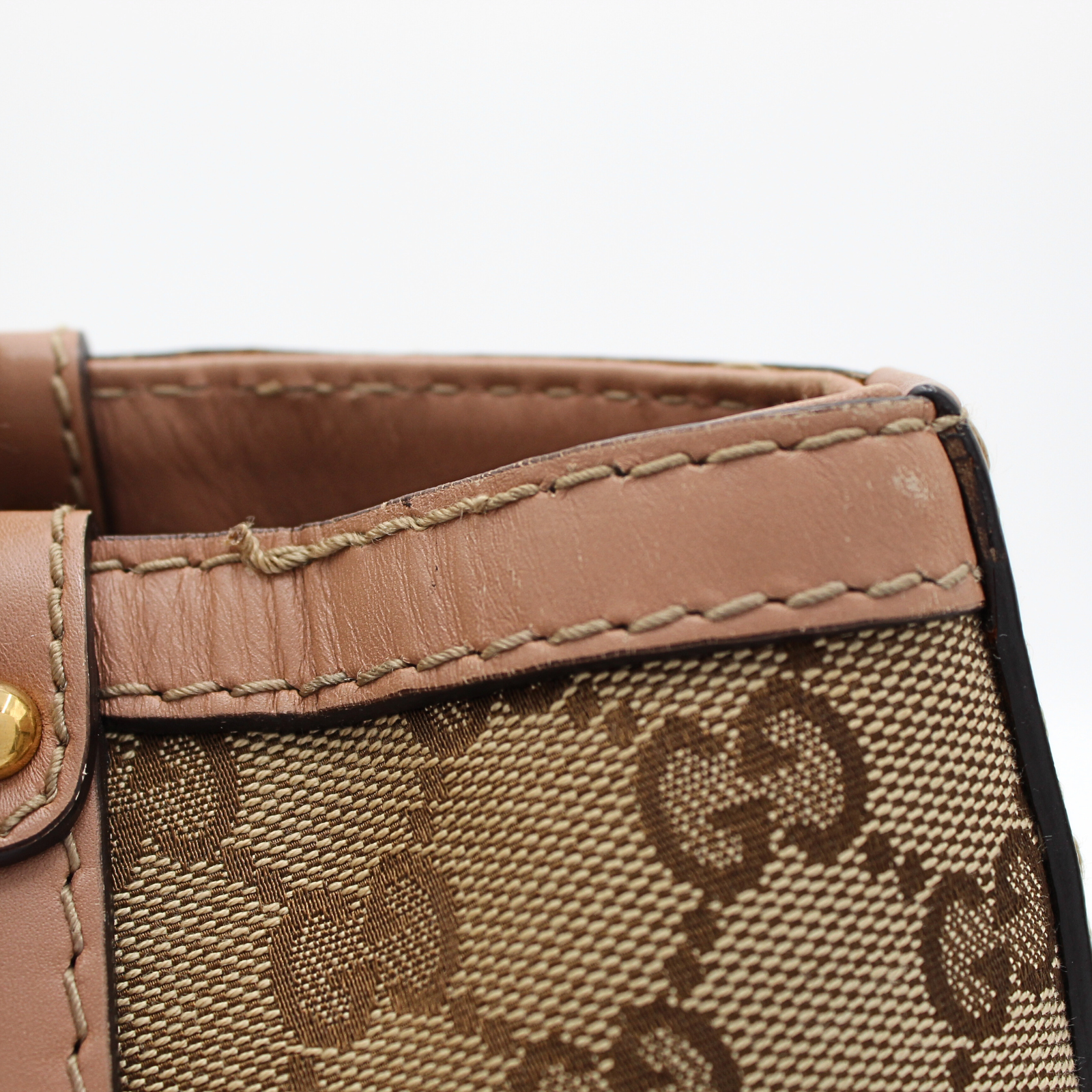 GG-Canvas Canvas Brown Hand Bag