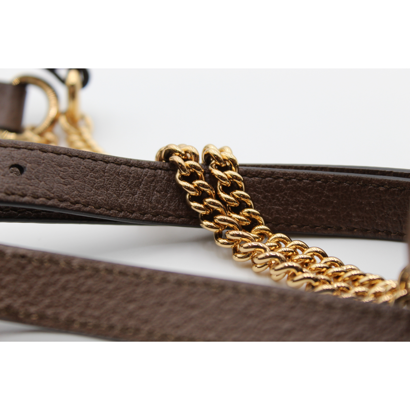 Ophidia GG Coated Canvas Backpack