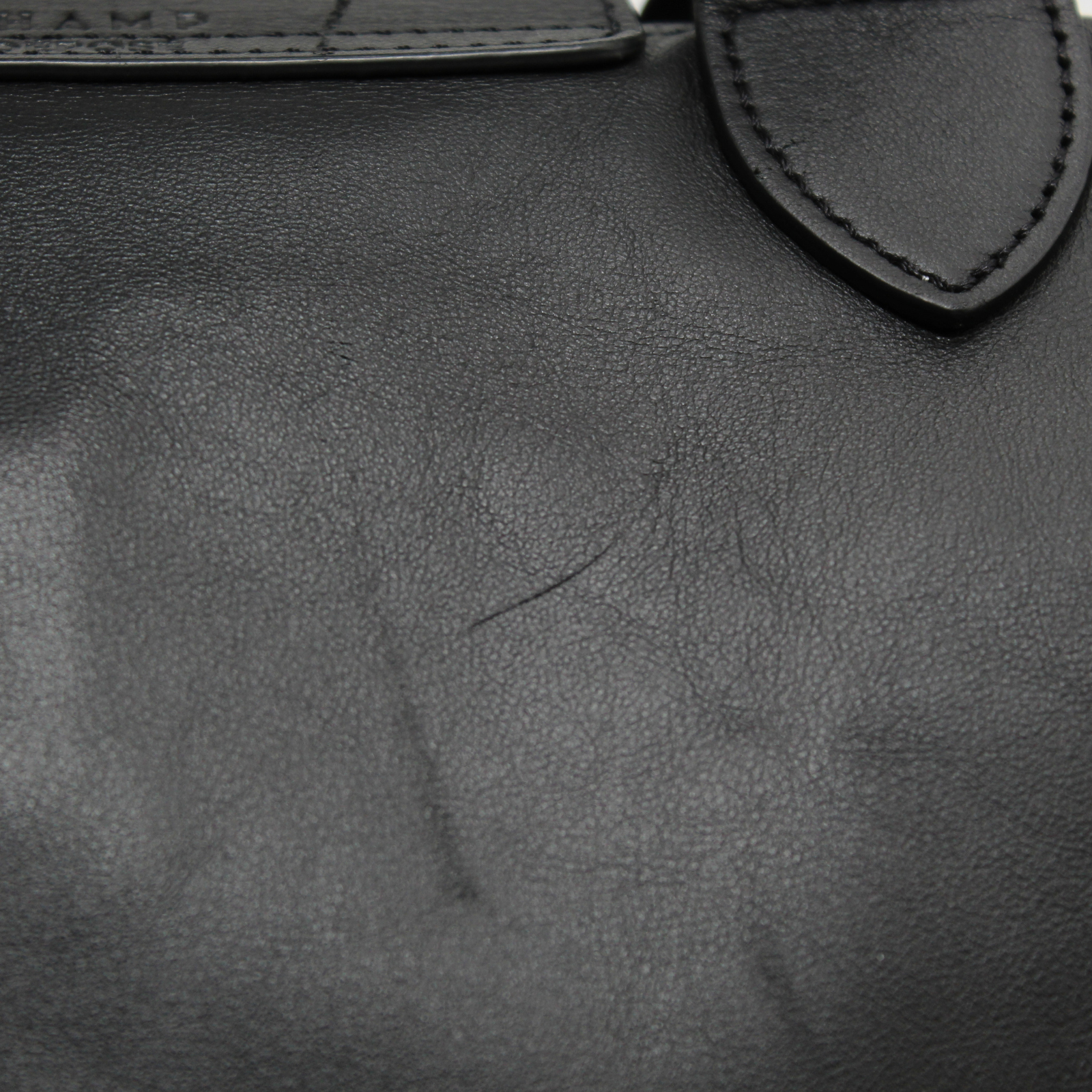 Le Pliage XL Calf Handbag