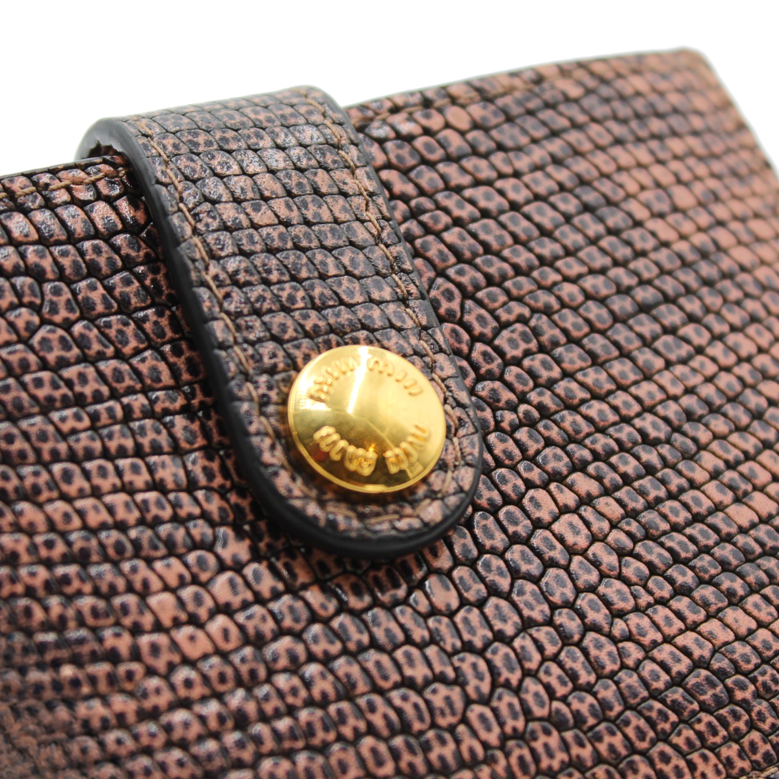 Lizard Card Case