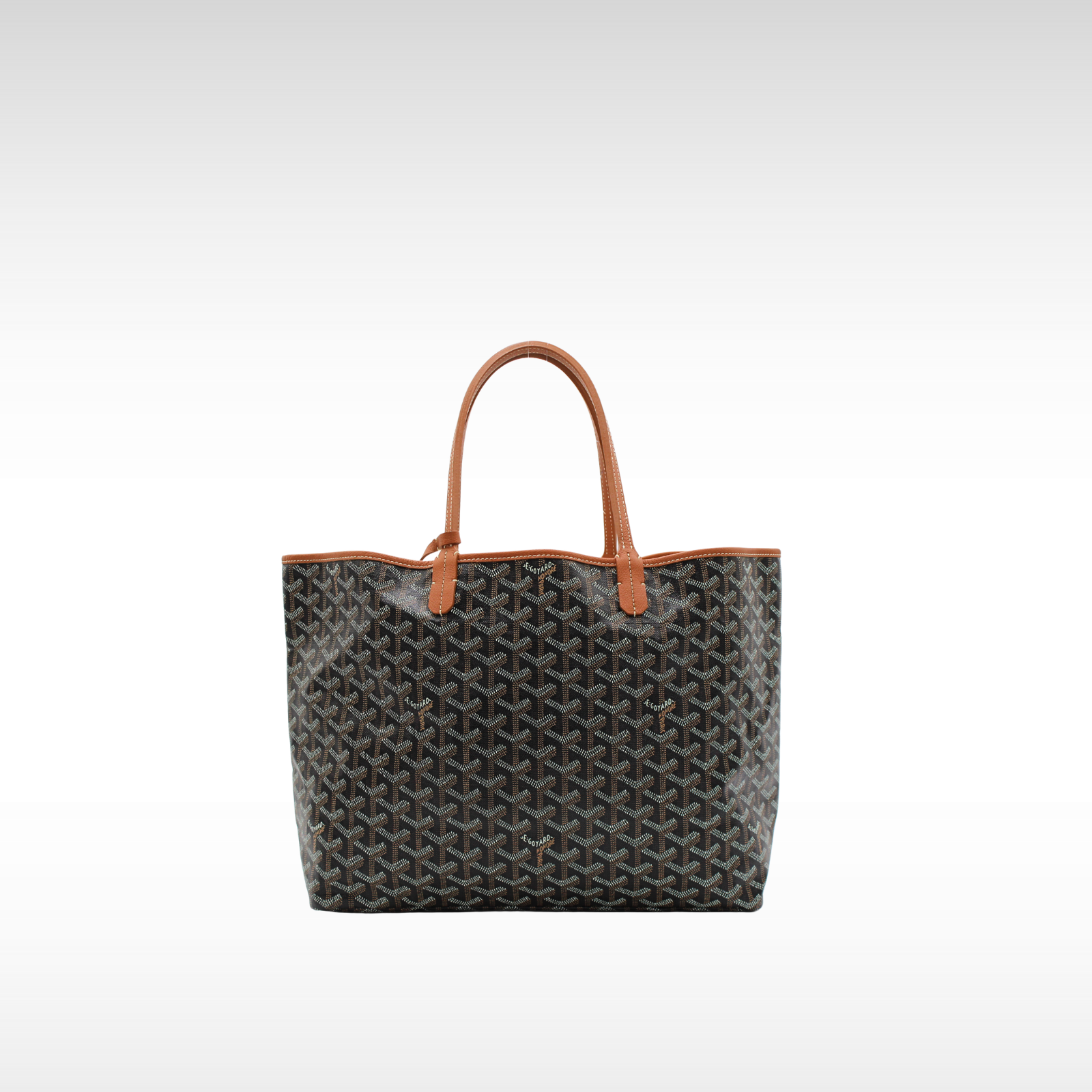 Saint Louis PM Coated Canvas Tote Bag