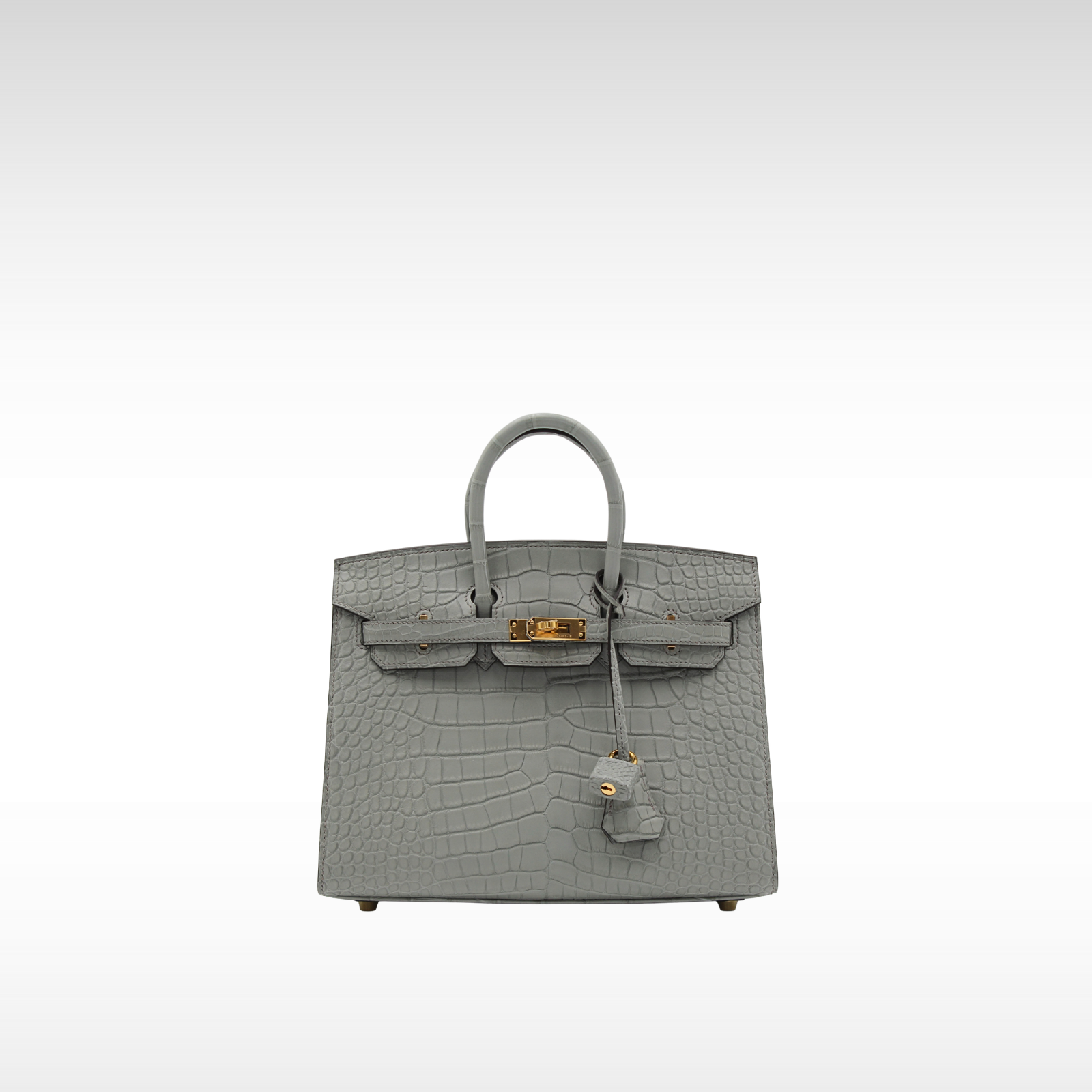Birkin 25 Sellier Matte Alligator Gris Ciment