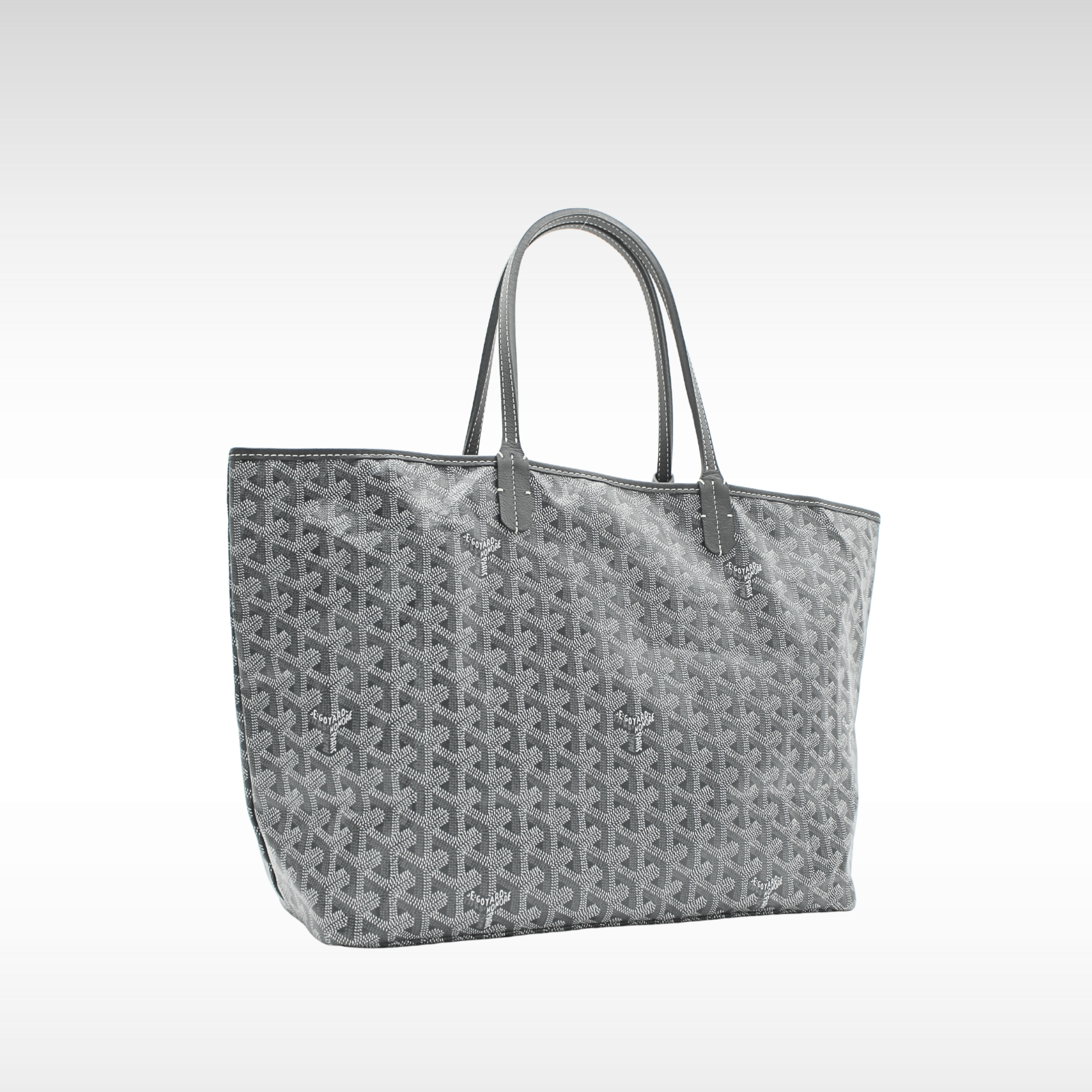 Saint Louis PM Coated Canvas Tote Bag
