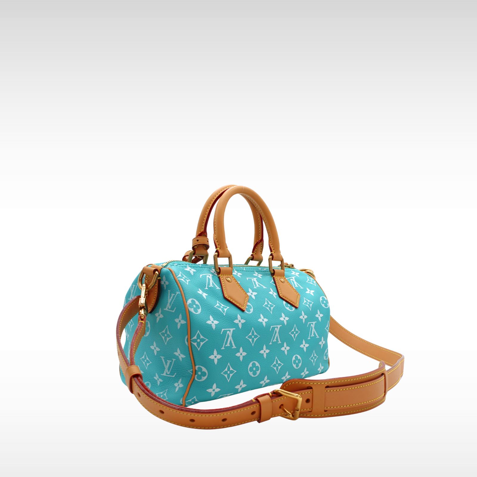 Speedy P9 Bandouliere Handbag