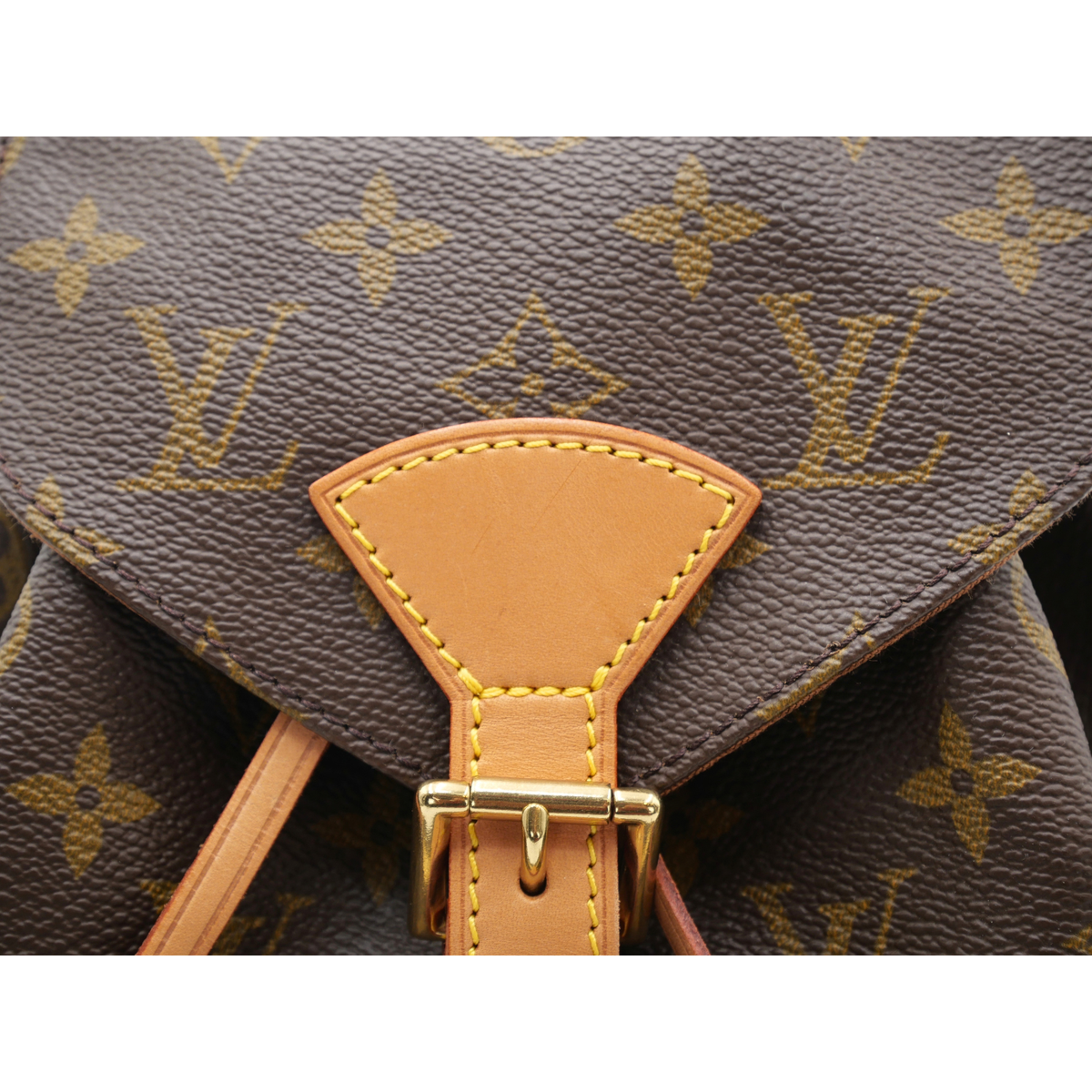 Montsouris PM Monogram Backpack