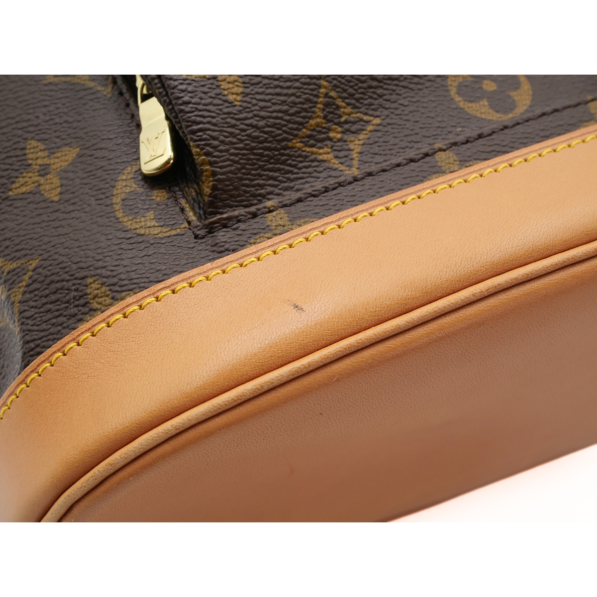 Montsouris PM Monogram Backpack
