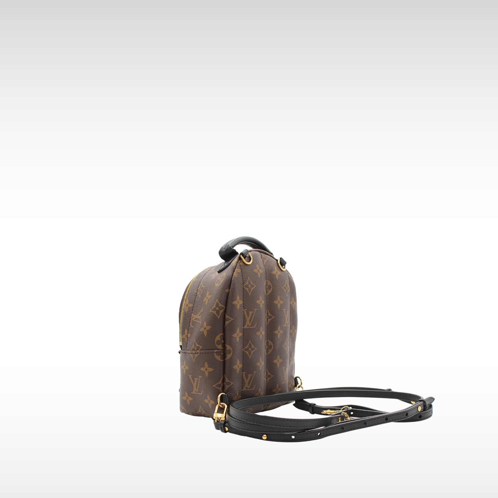 Palm Springs Mini Monogram Backpack
