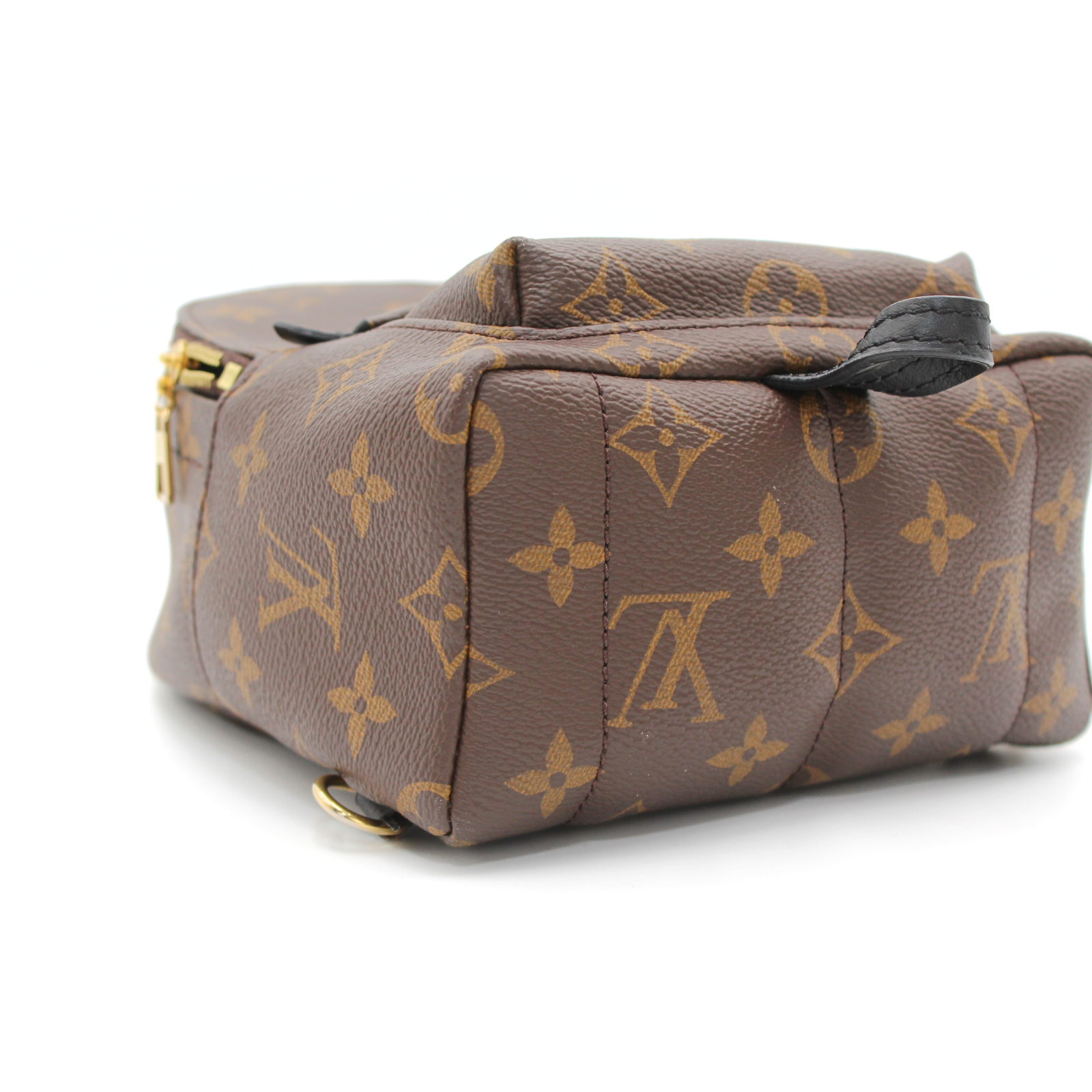 Palm Springs Mini Monogram Backpack