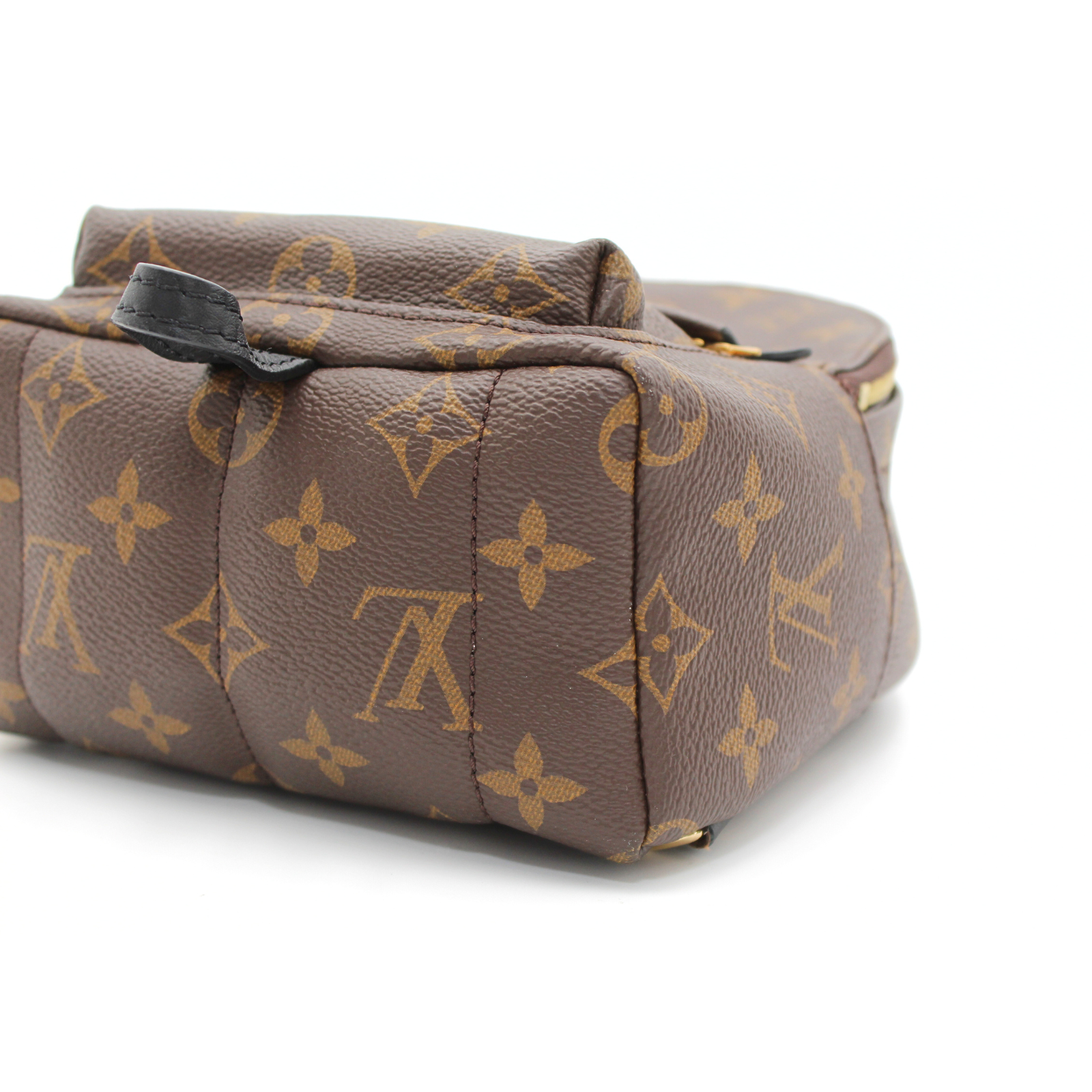 Palm Springs Mini Monogram Backpack