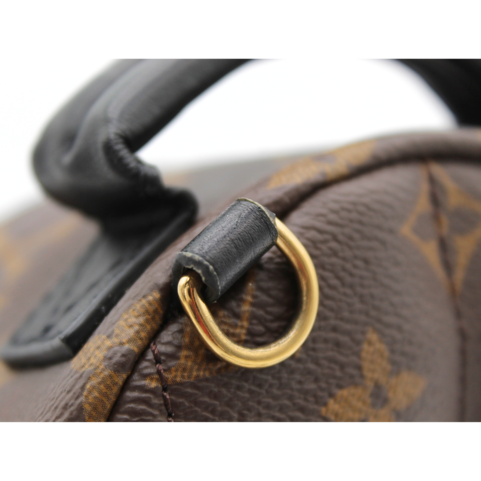Palm Springs Mini Monogram Backpack