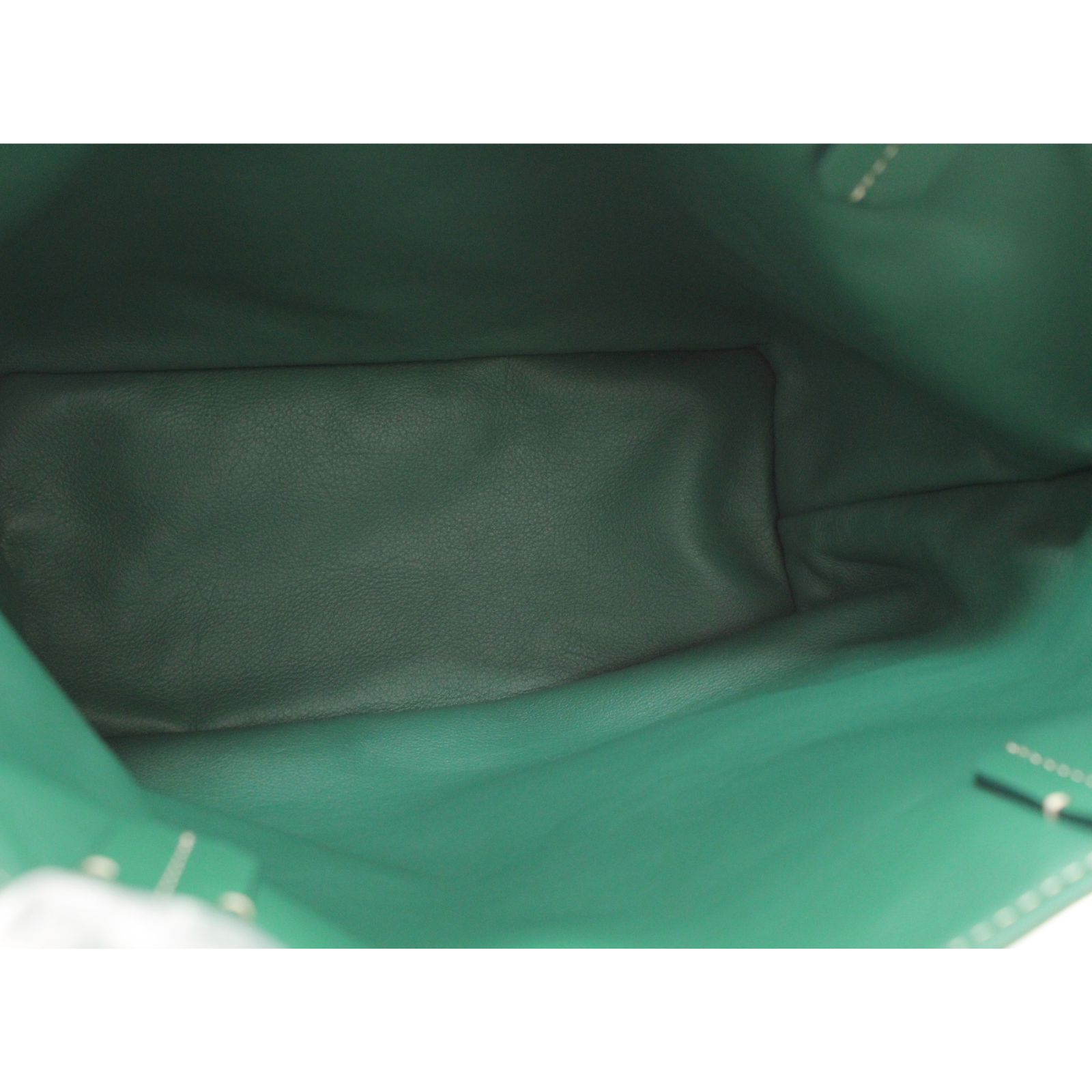 Anjou Mini Coated Canvas Green Tote Bag