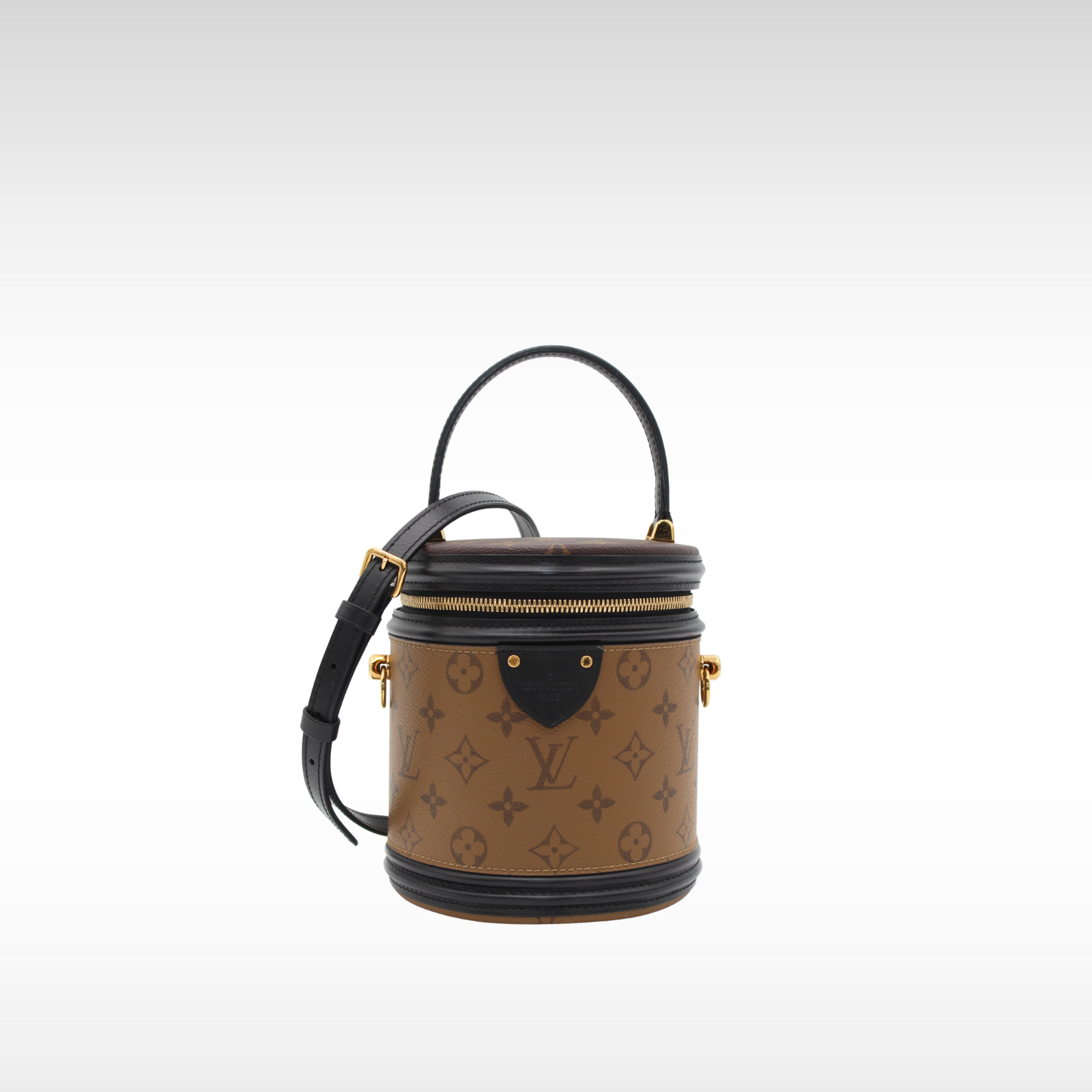 Cannes Monogram Reverse Vanity Bag