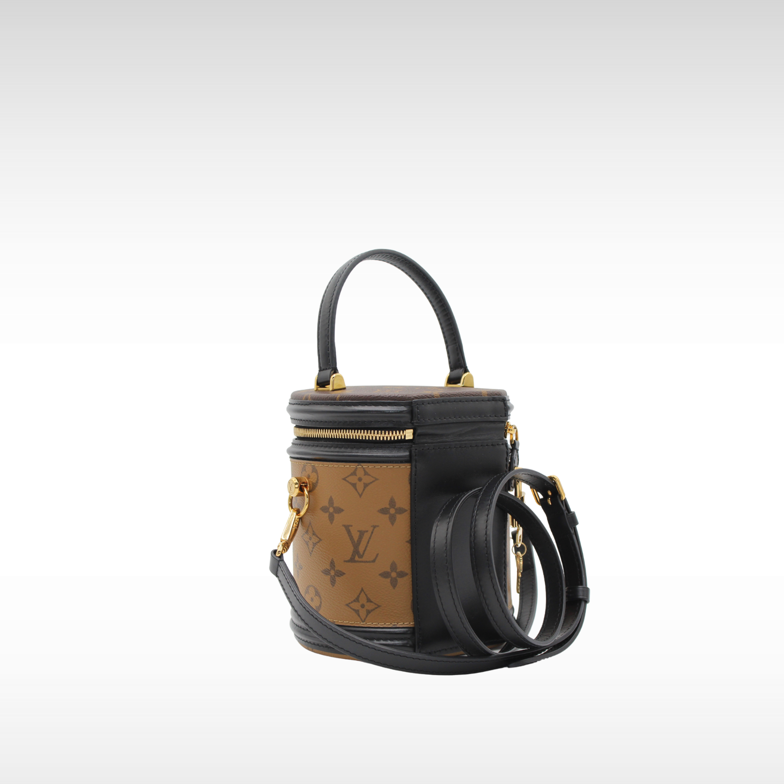 Cannes Monogram Reverse Vanity Bag