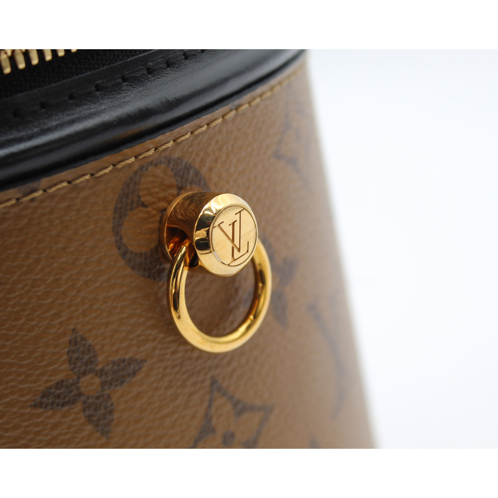Cannes Monogram Reverse Vanity Bag